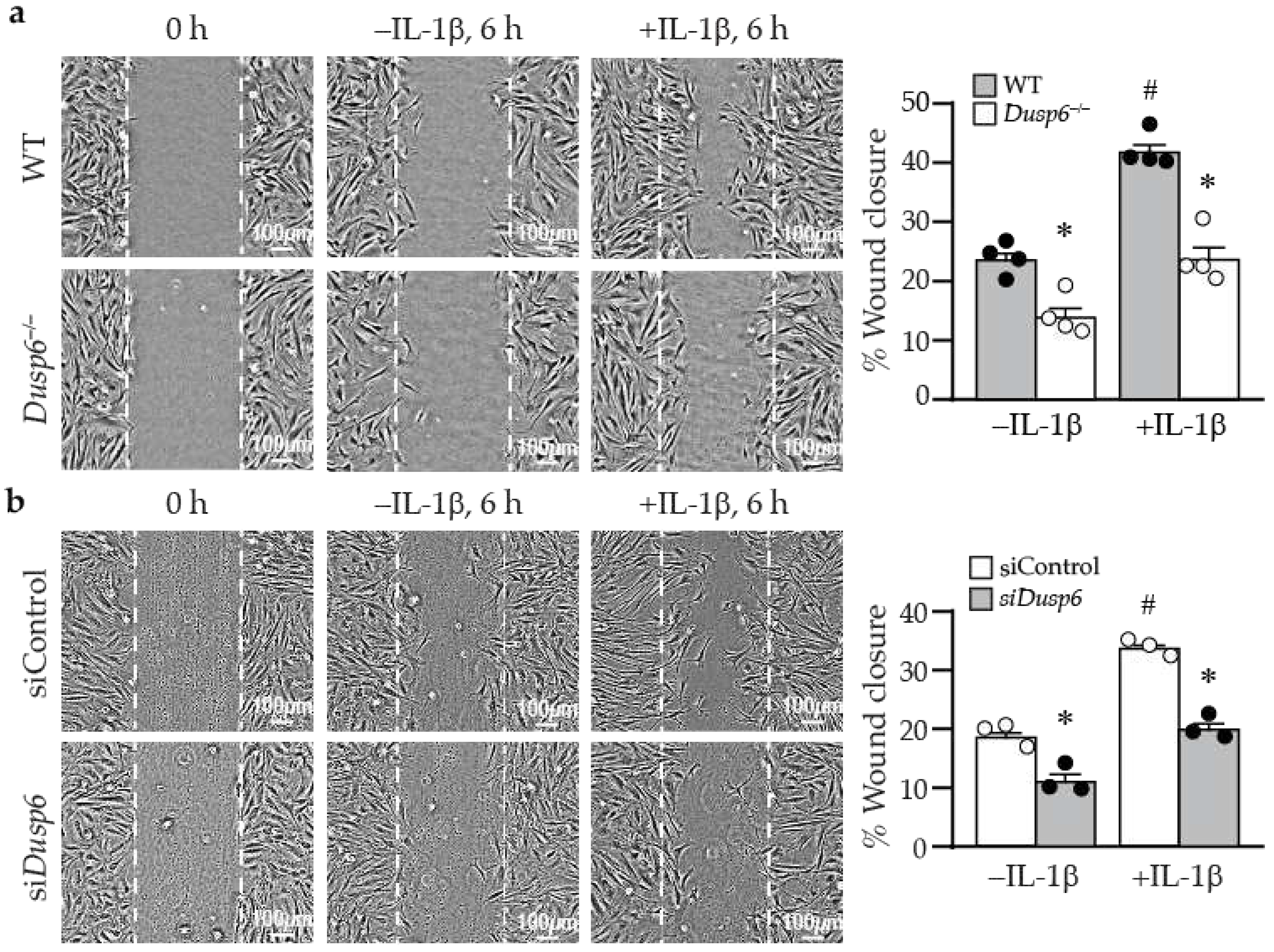 Preprints 88781 g006