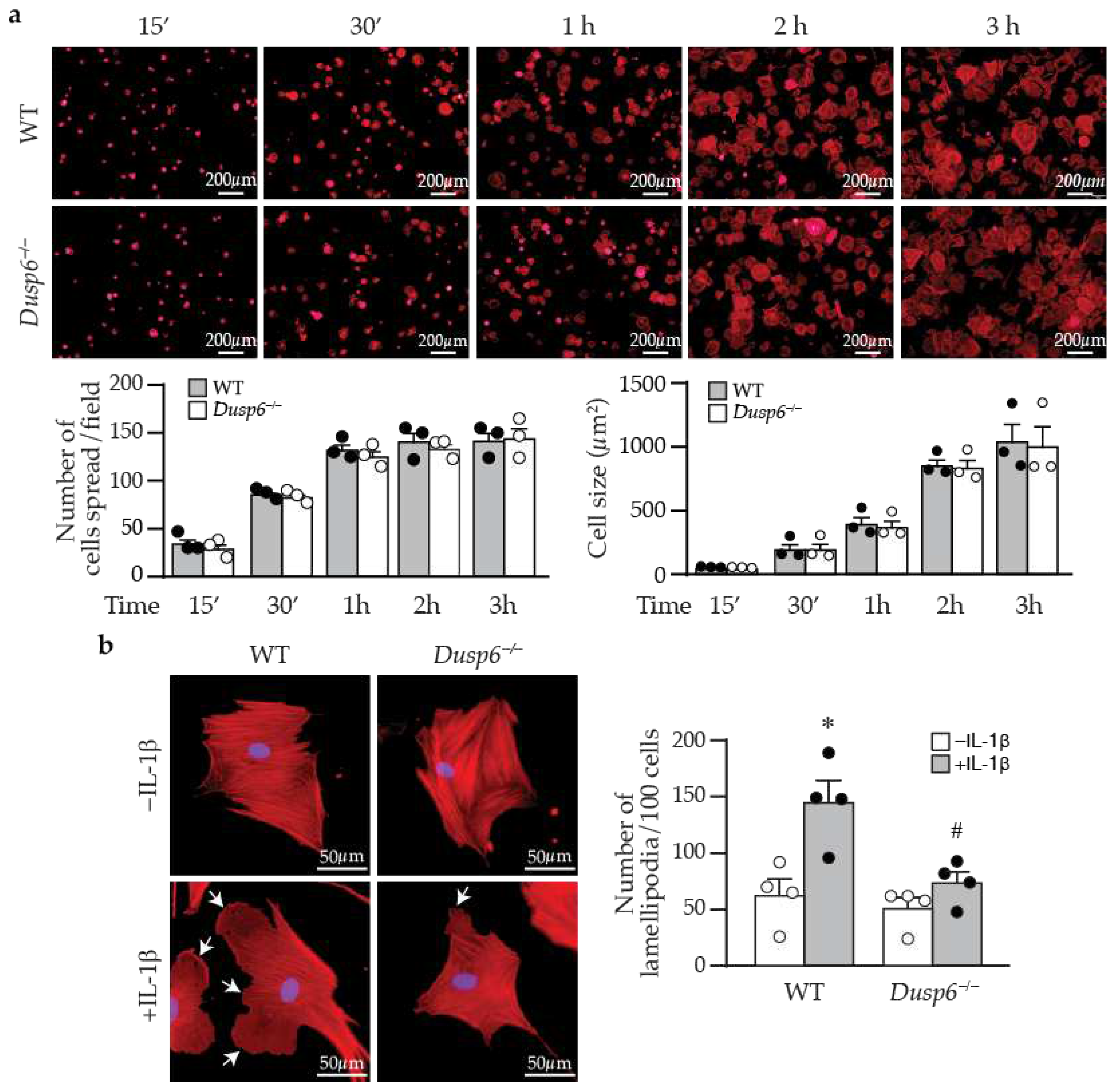 Preprints 88781 g007