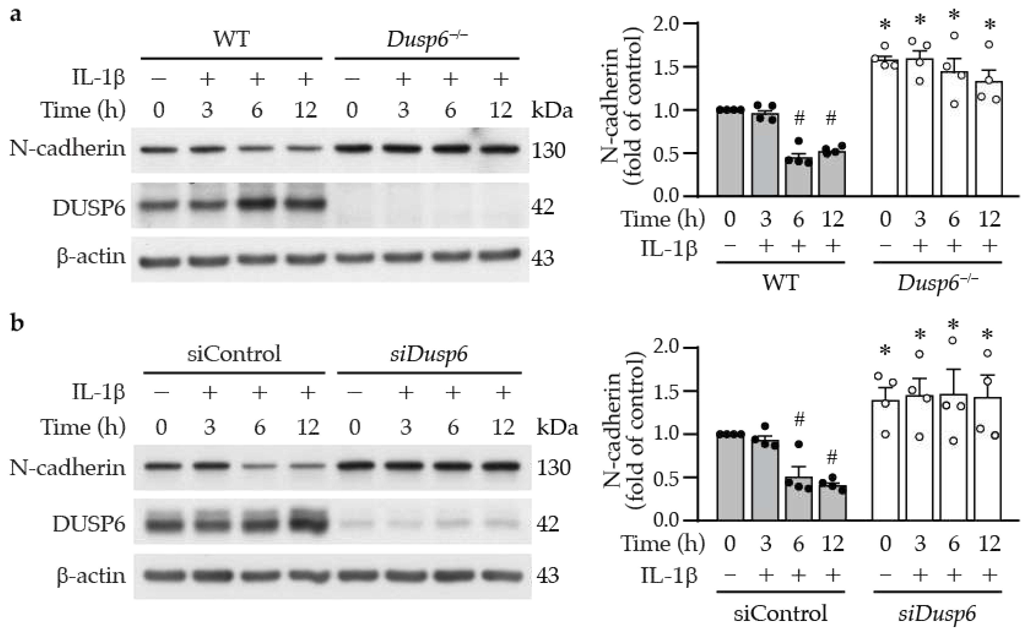 Preprints 88781 g008