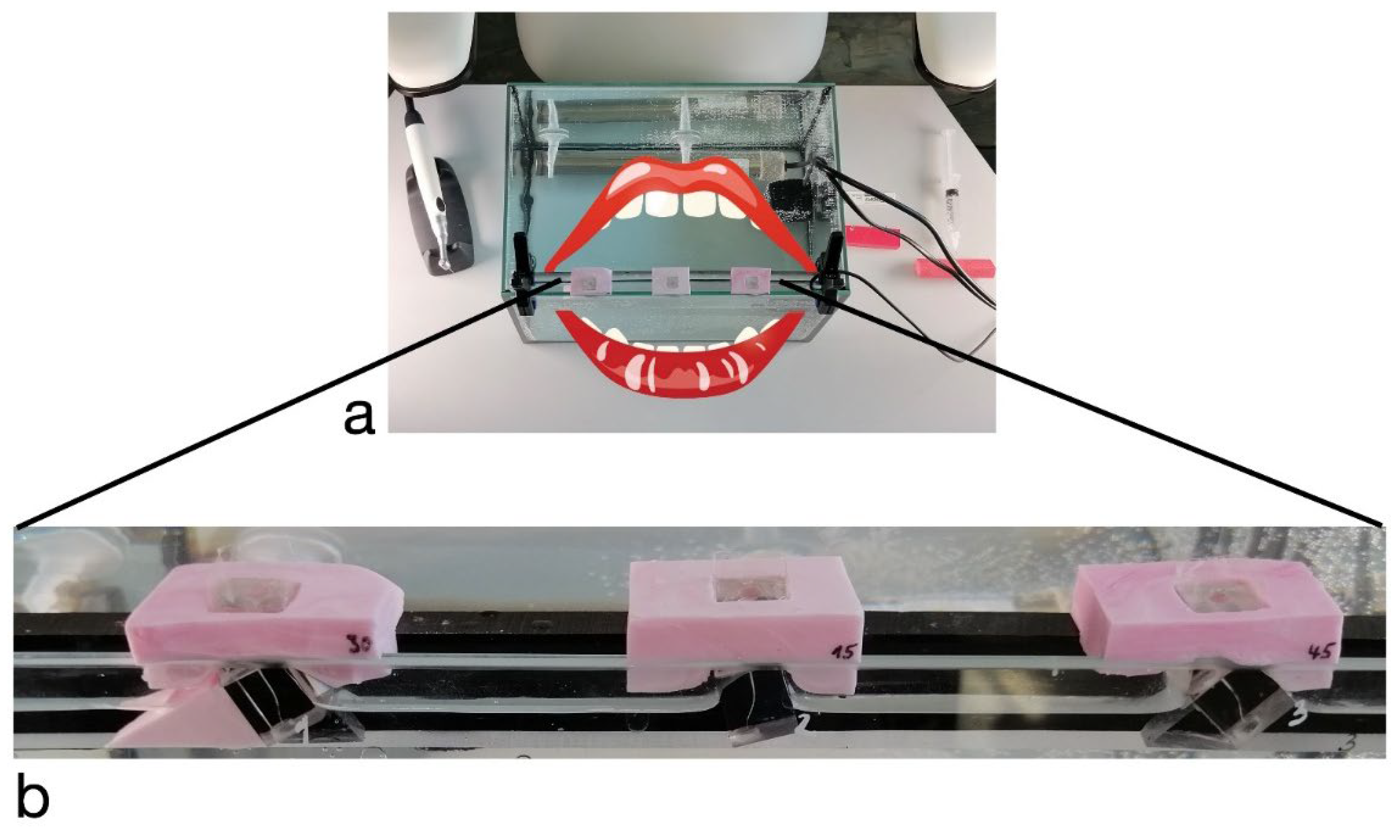 Preprints 118731 g001