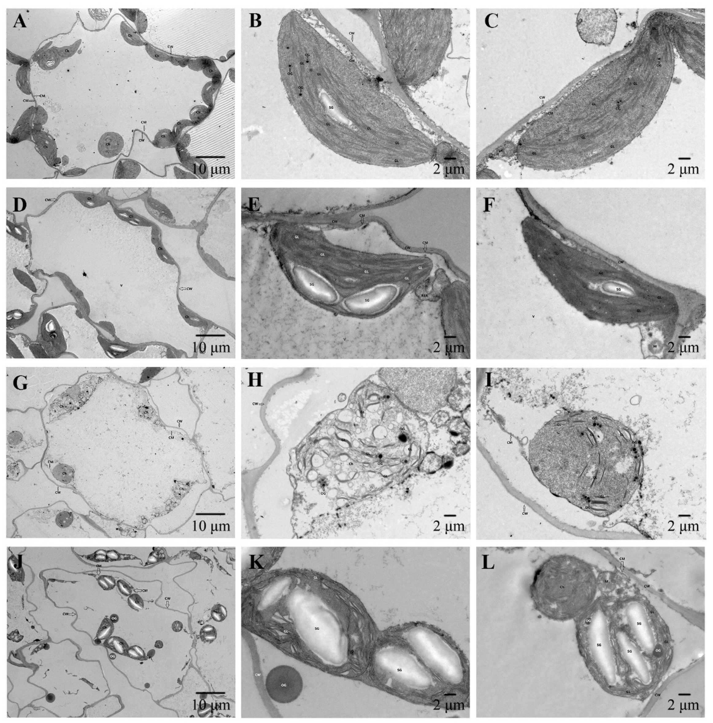 Preprints 82751 g006