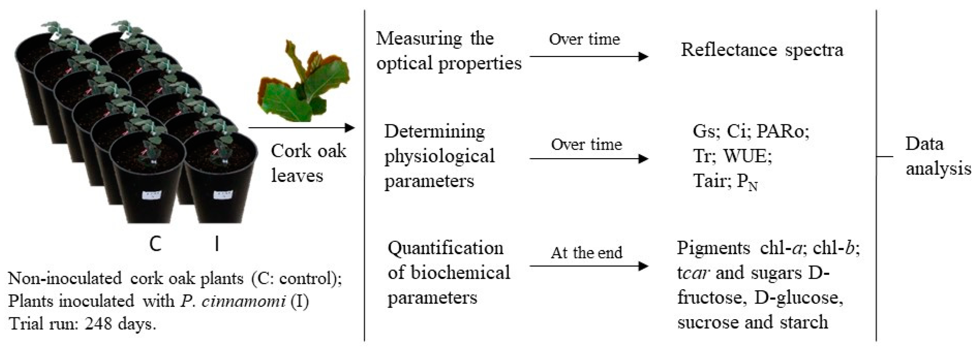 Preprints 80004 g001