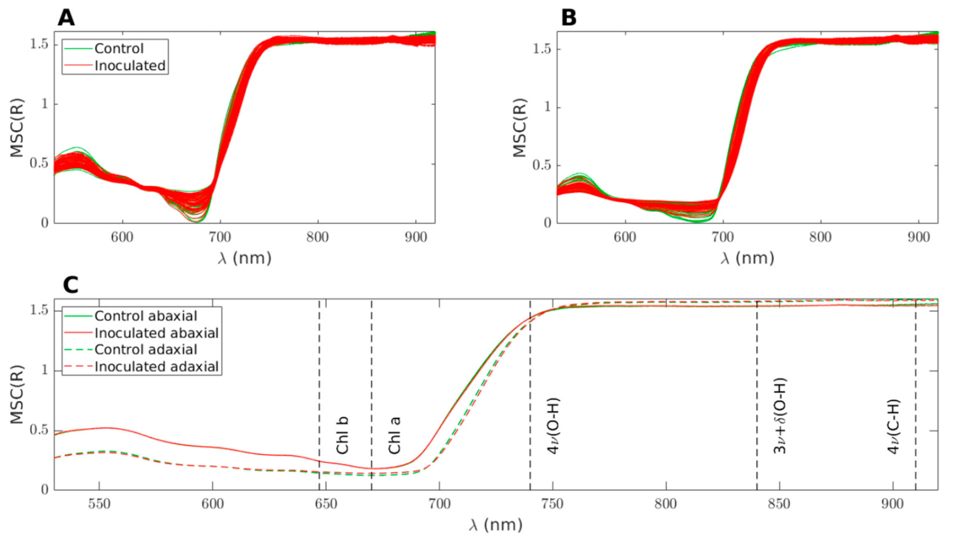 Preprints 80004 g003