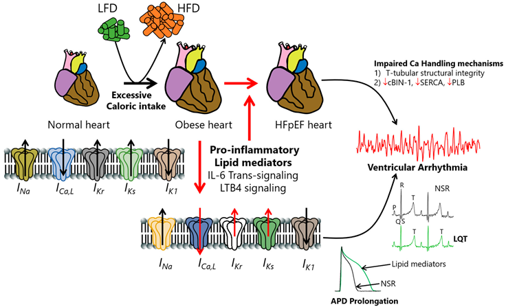 Preprints 138676 i001