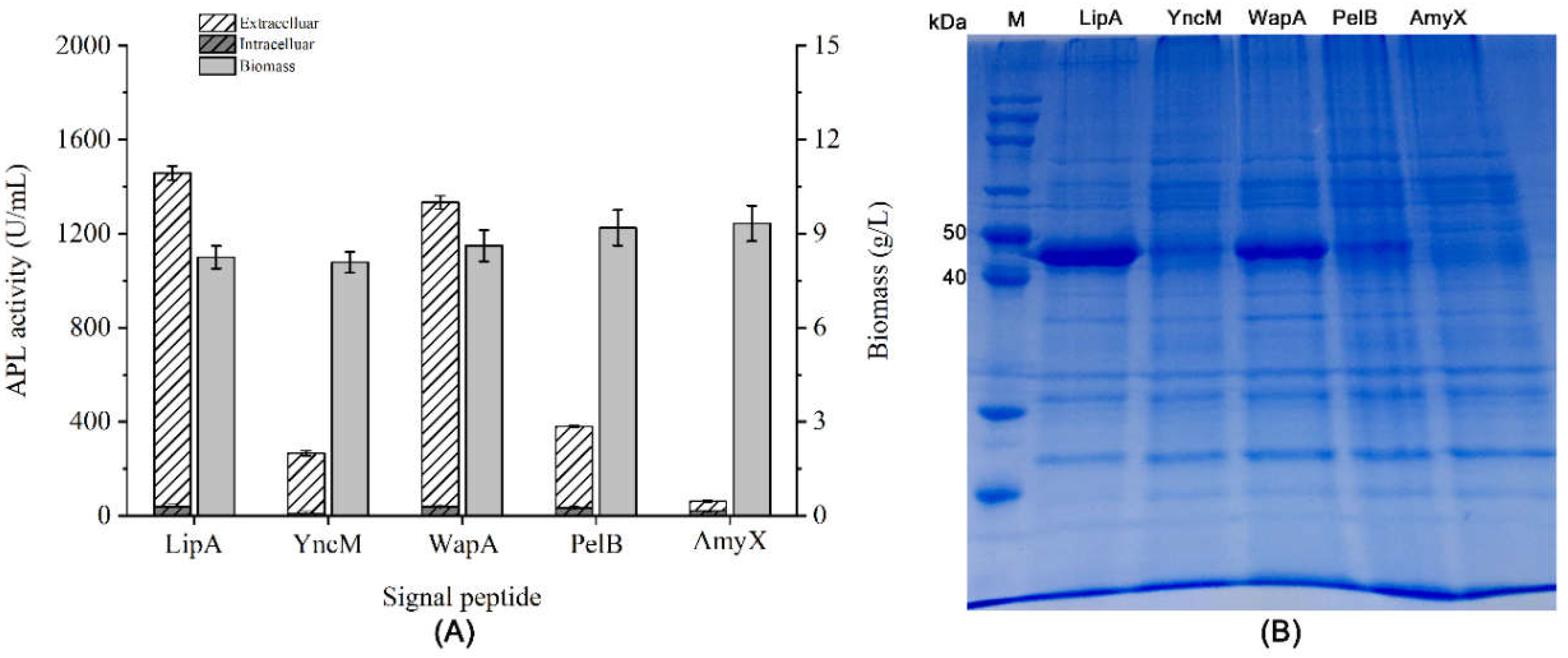 Preprints 105258 g001