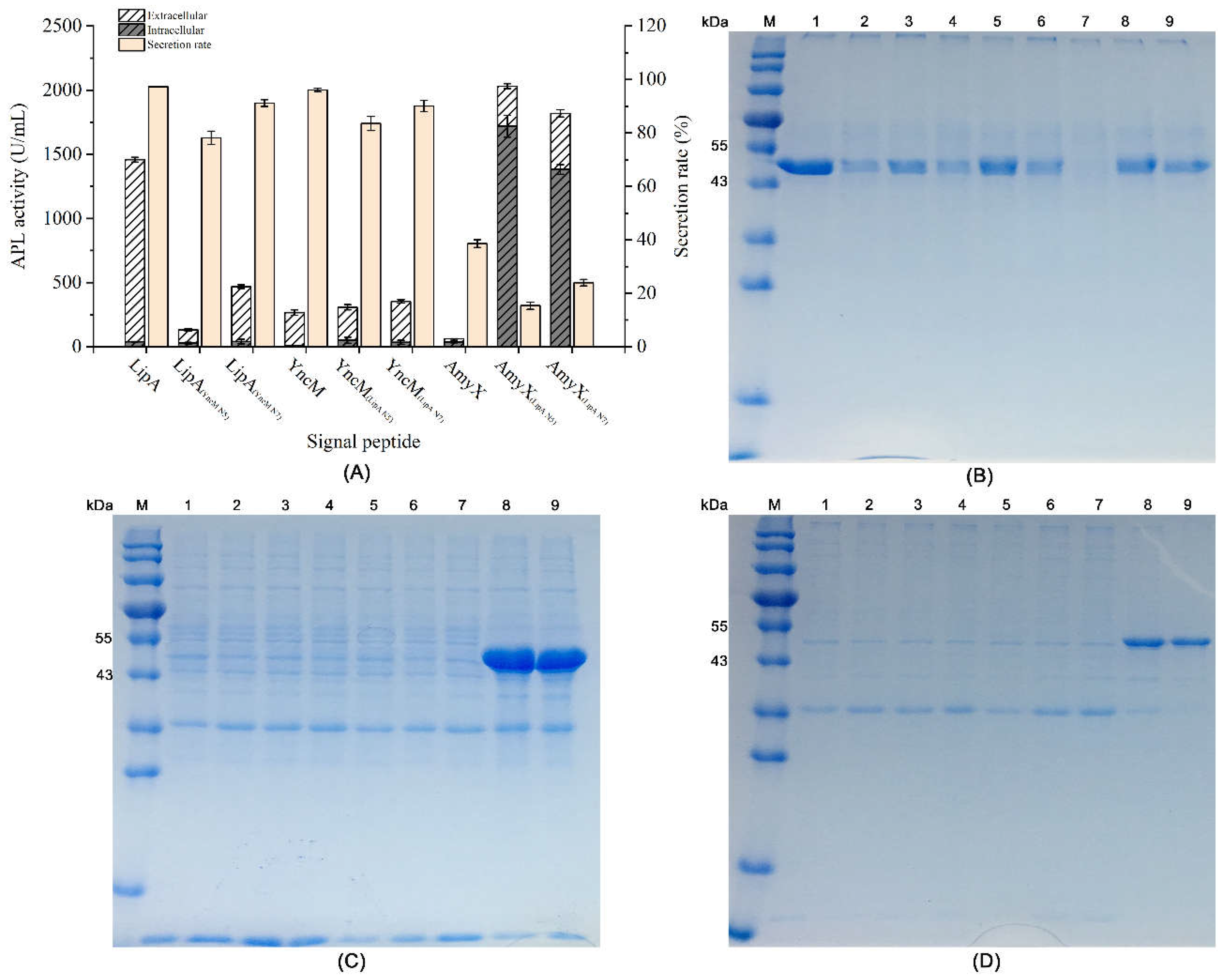 Preprints 105258 g002