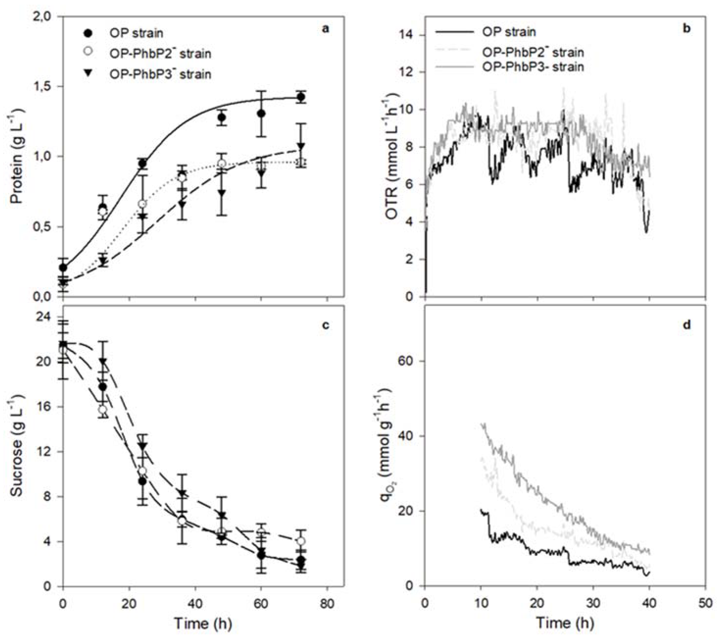 Preprints 116338 g001