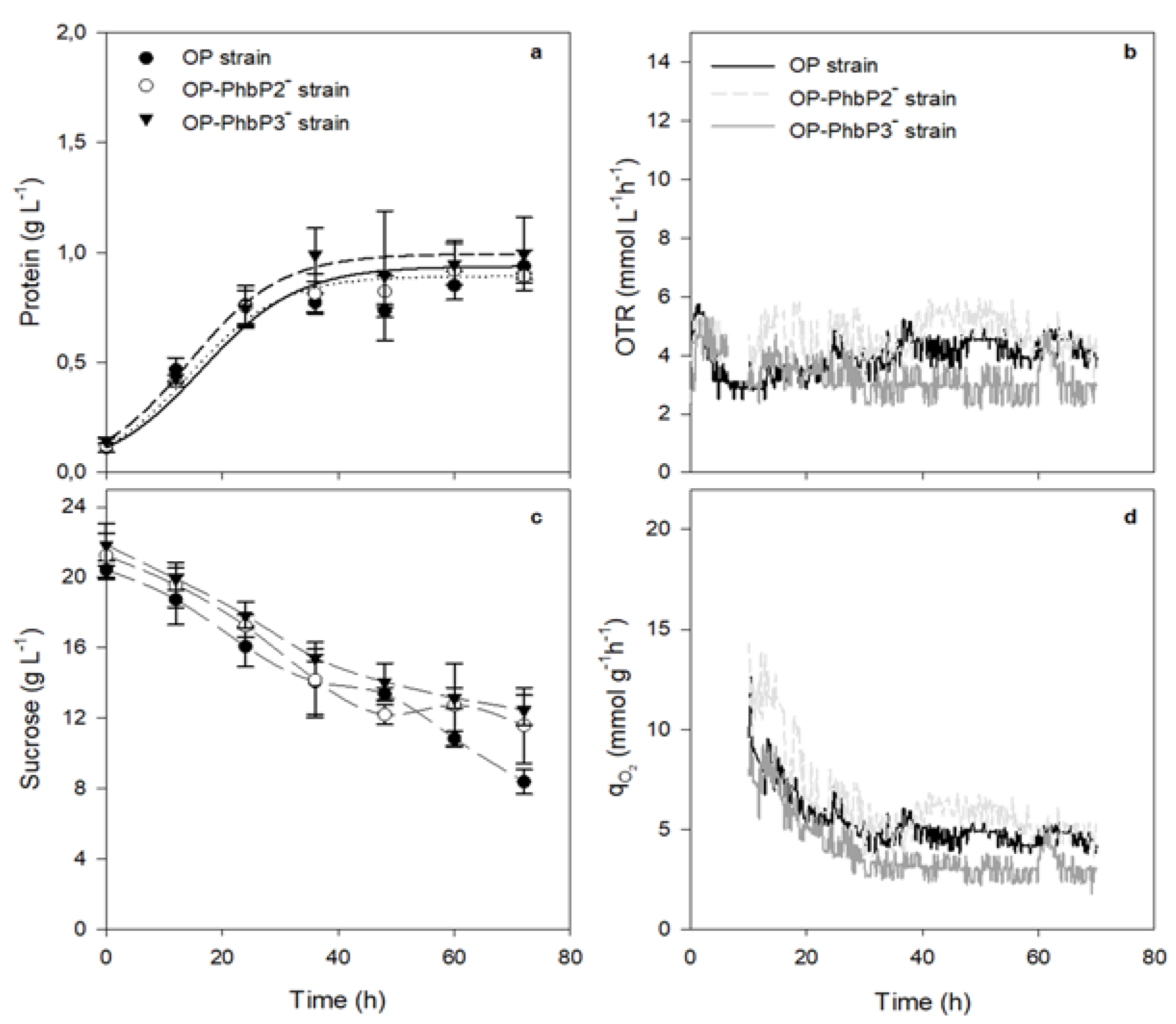 Preprints 116338 g002