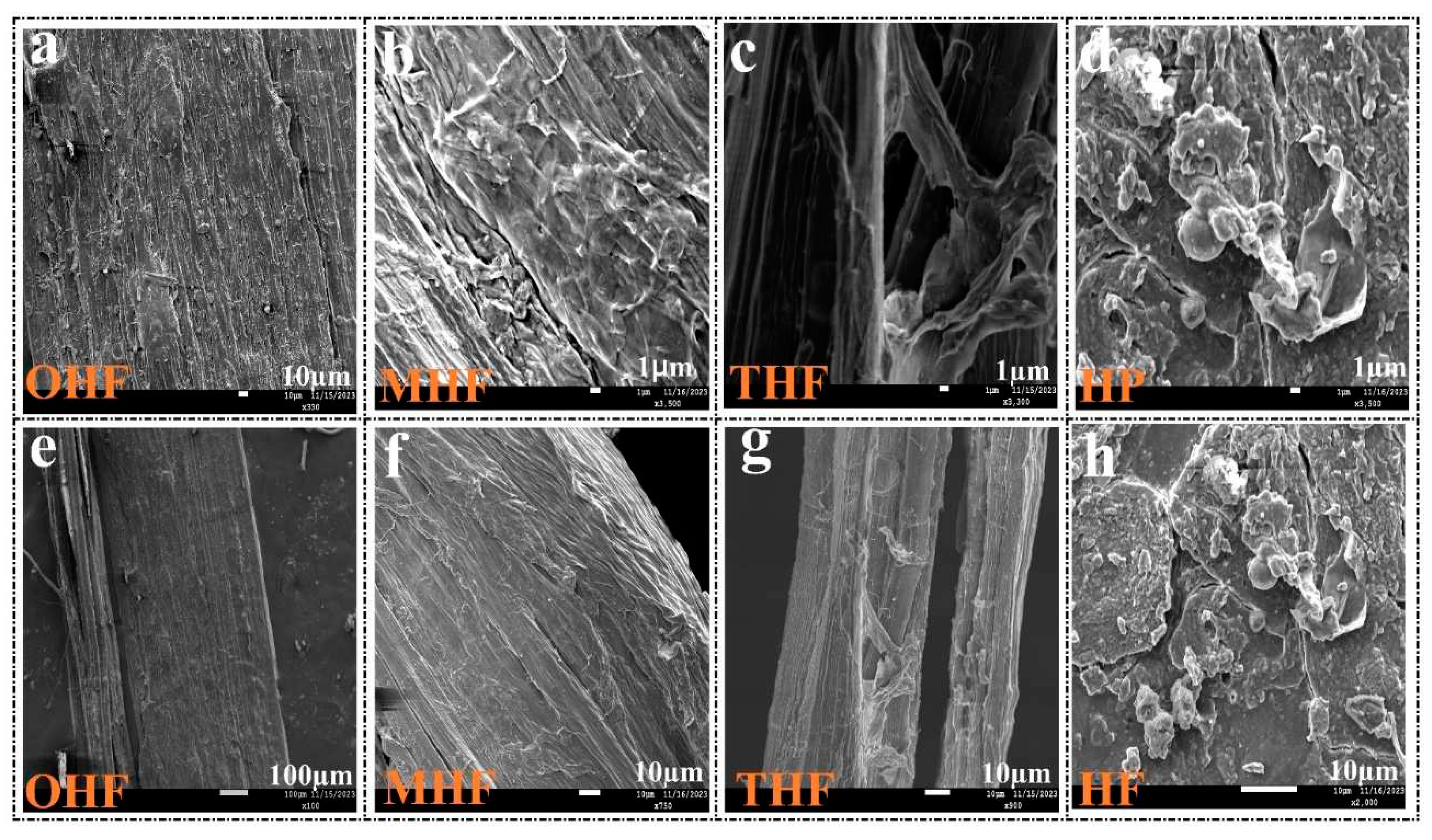 Preprints 94662 g004