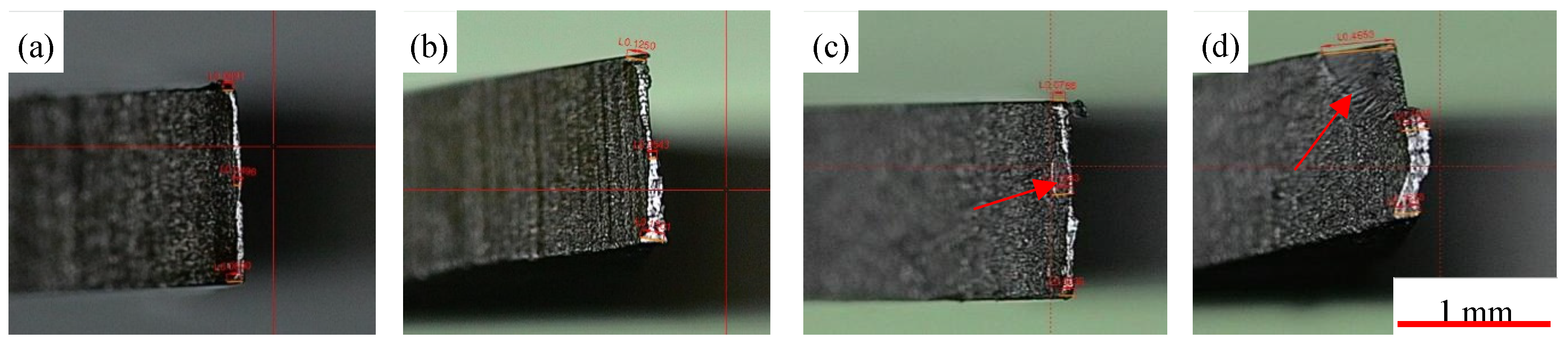 Preprints 118497 g005