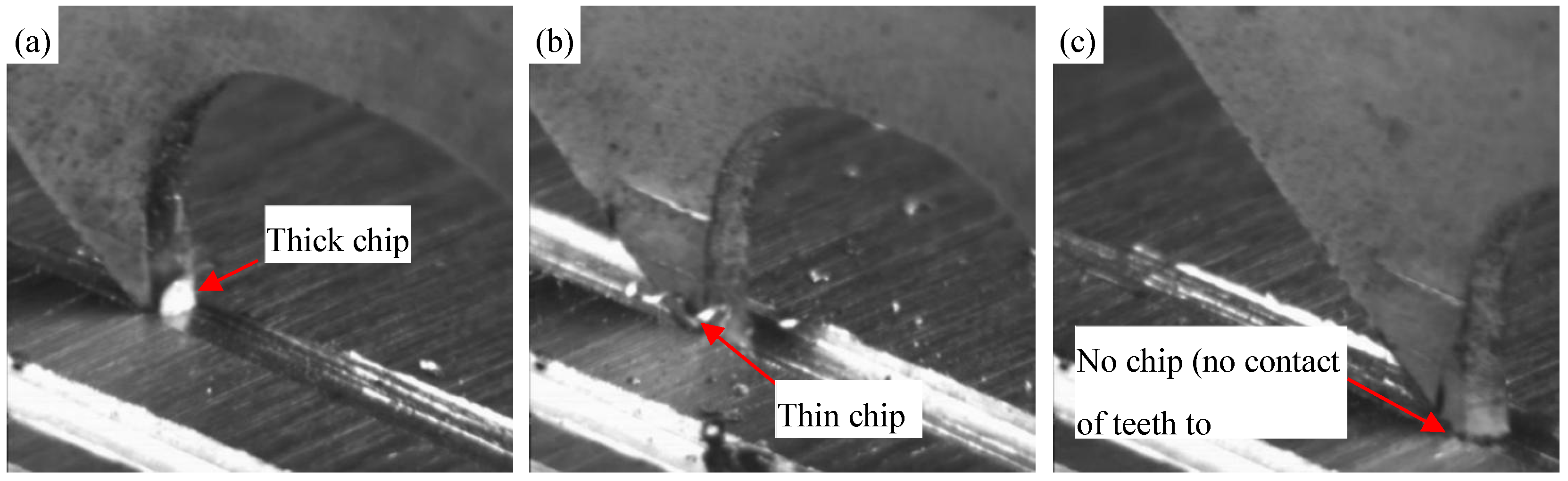 Preprints 118497 g006