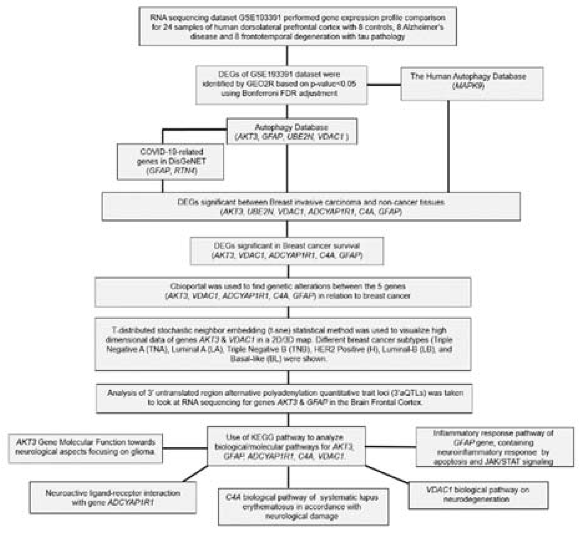 Preprints 81848 g001