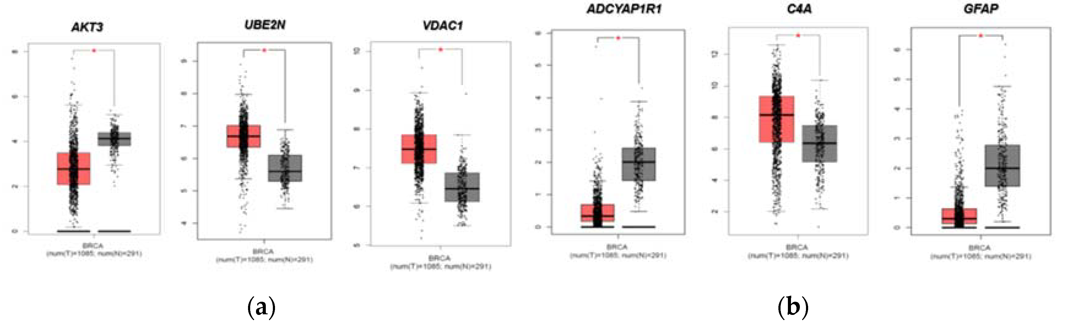 Preprints 81848 g002