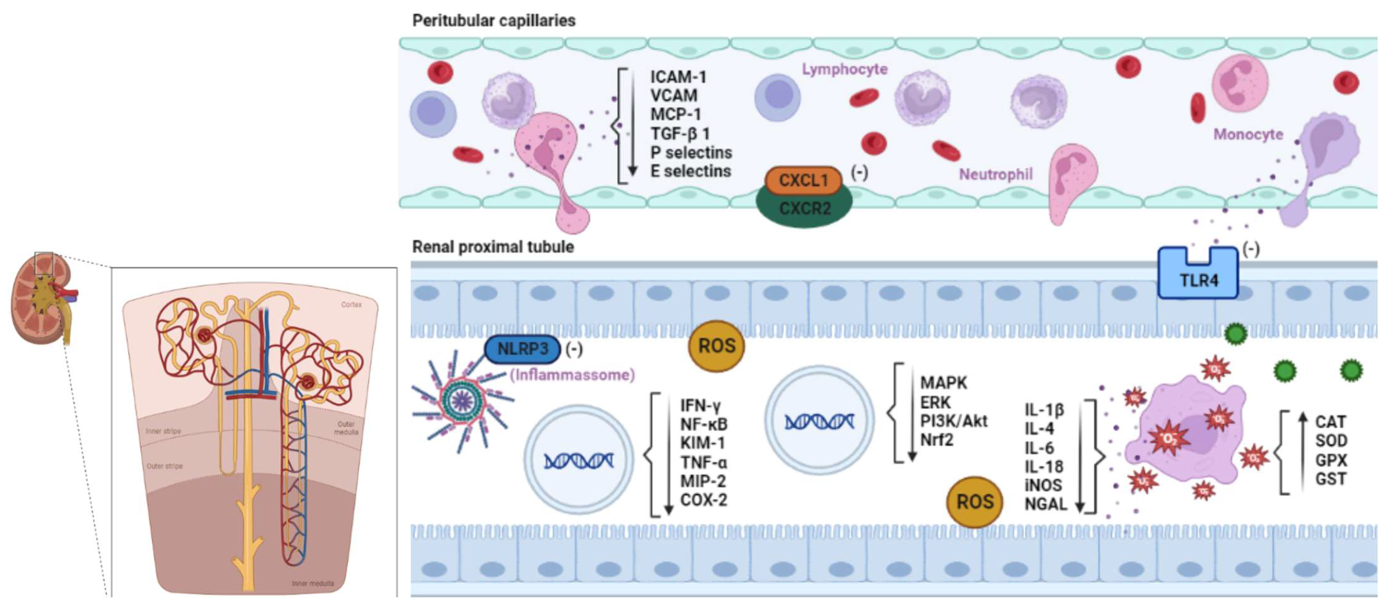 Preprints 76876 g002