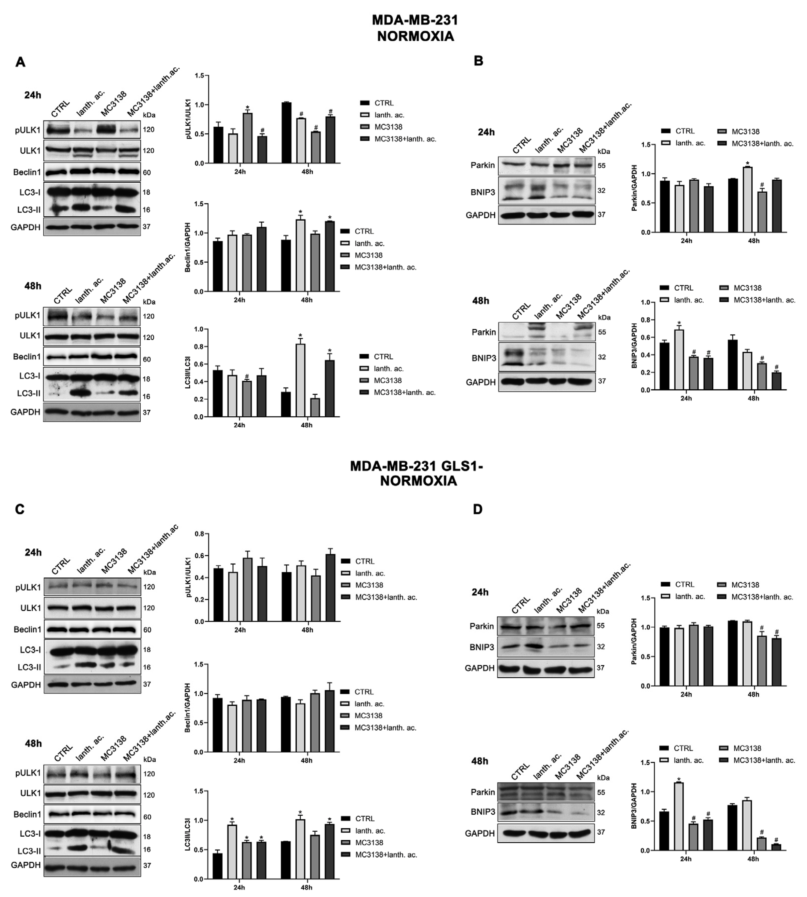 Preprints 75133 g006