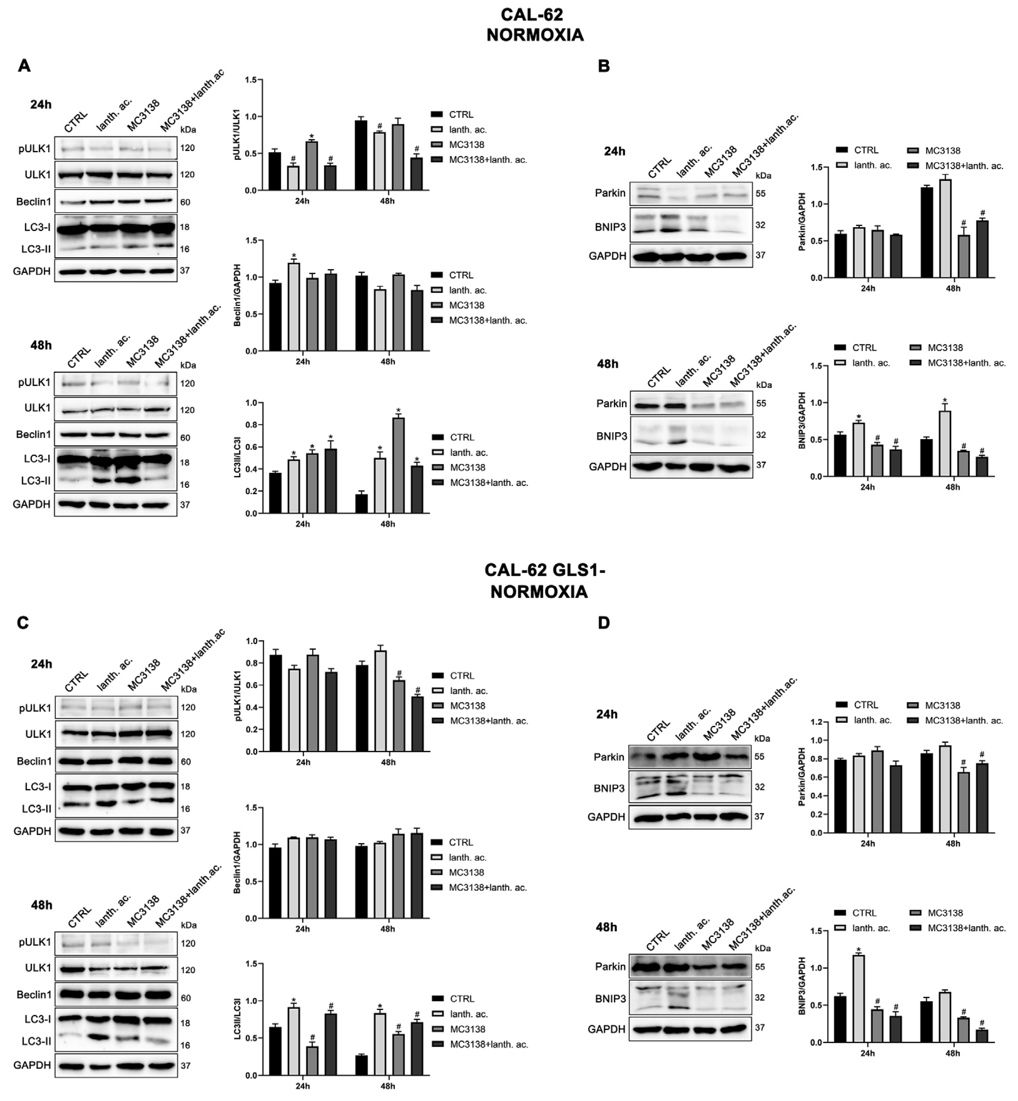 Preprints 75133 g007