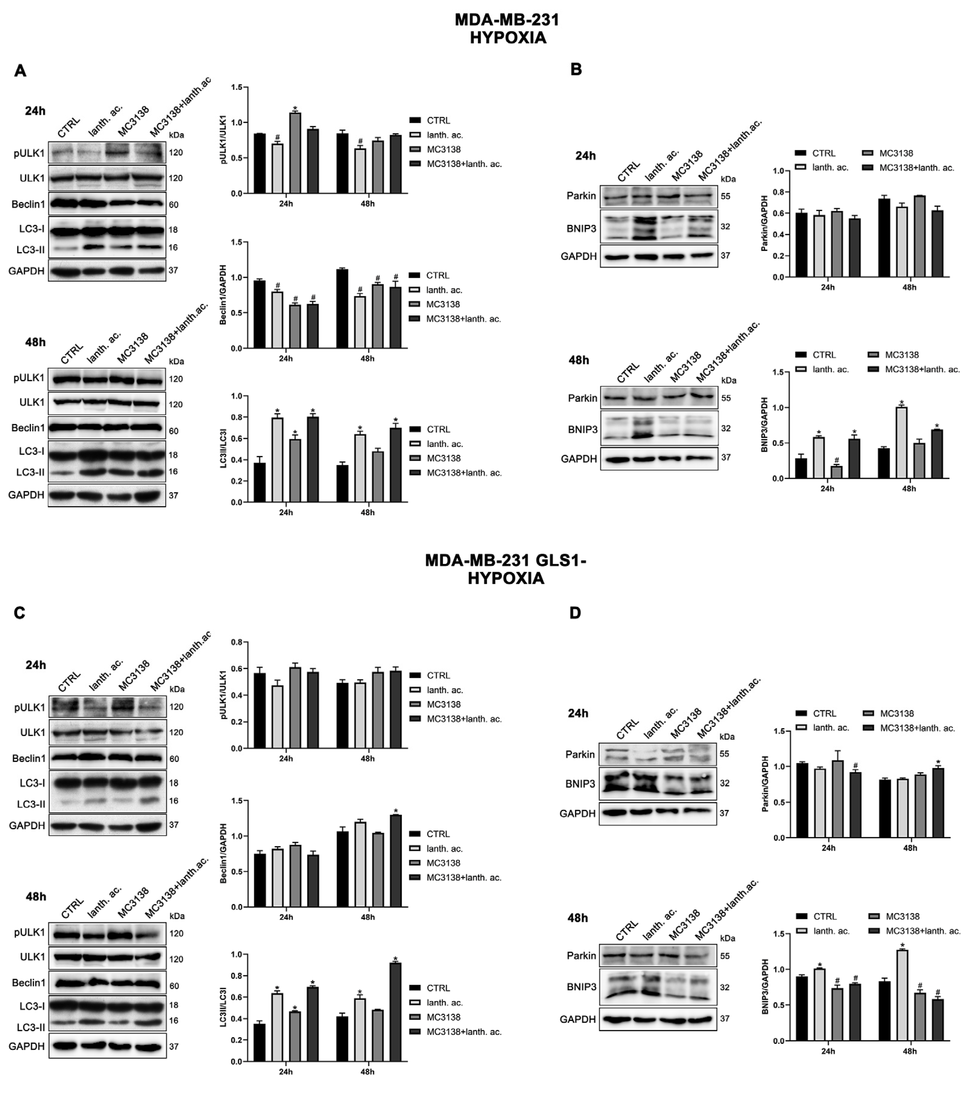 Preprints 75133 g008