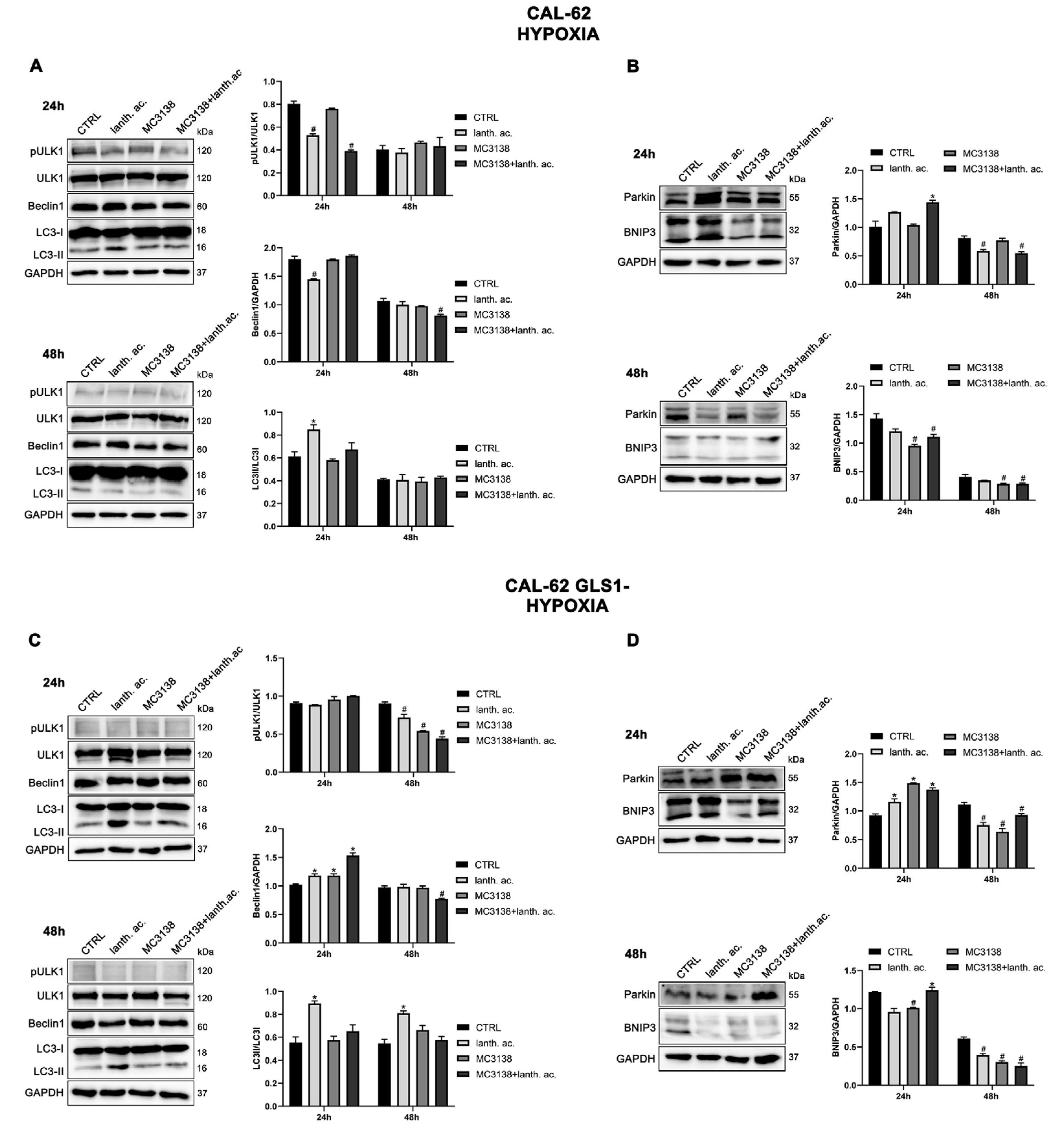 Preprints 75133 g009