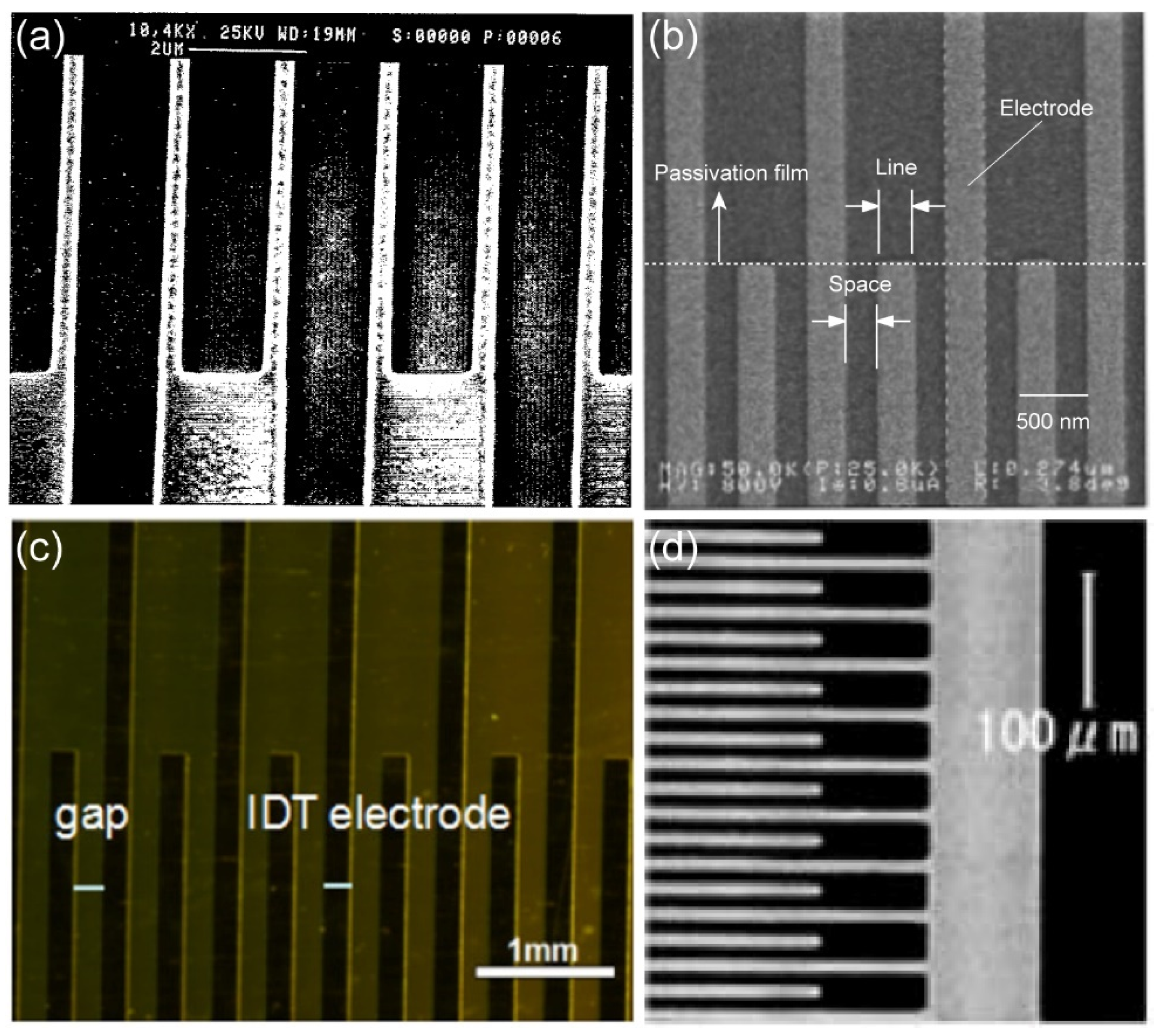 Preprints 86644 g004