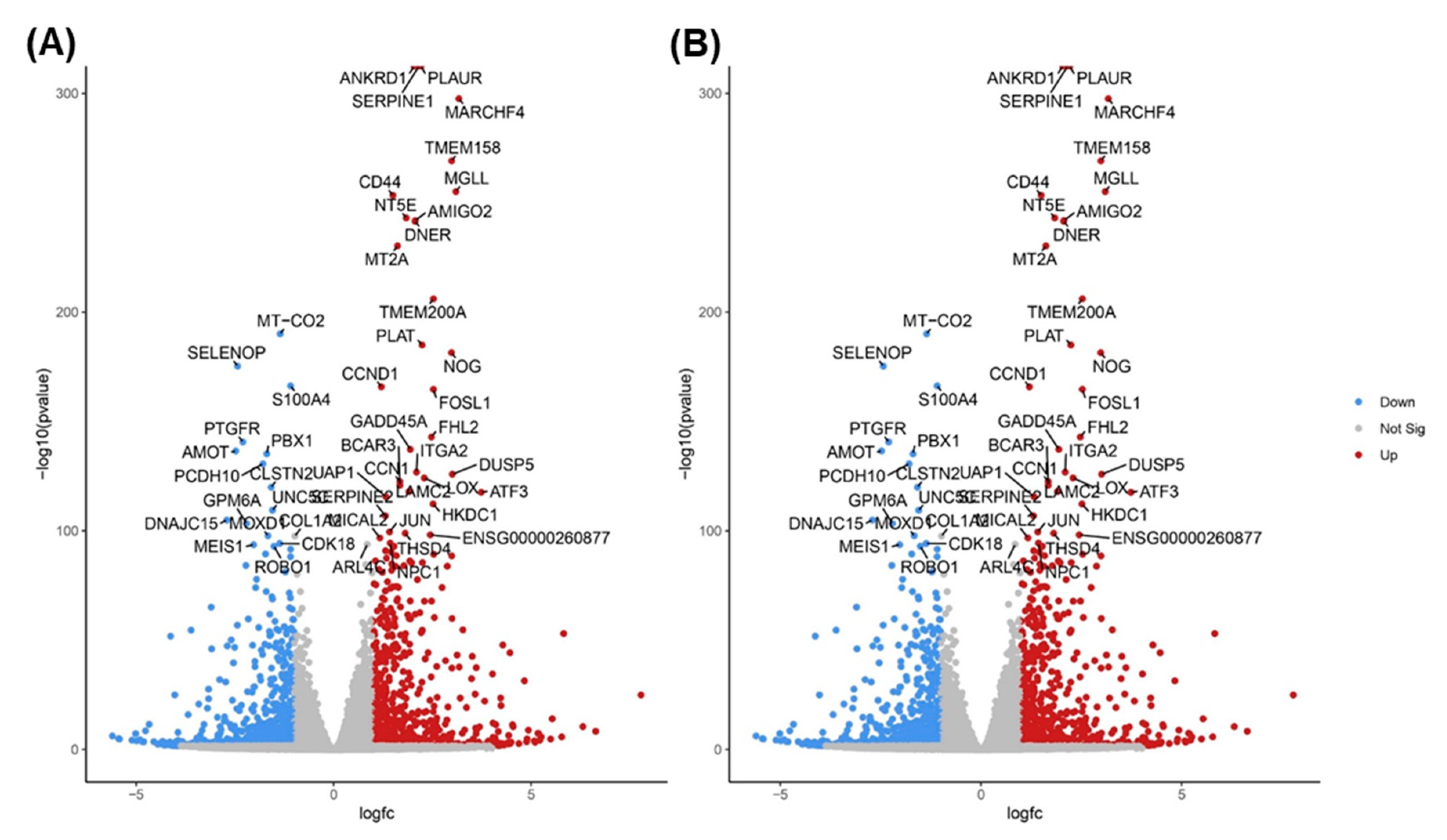 Preprints 97337 g002