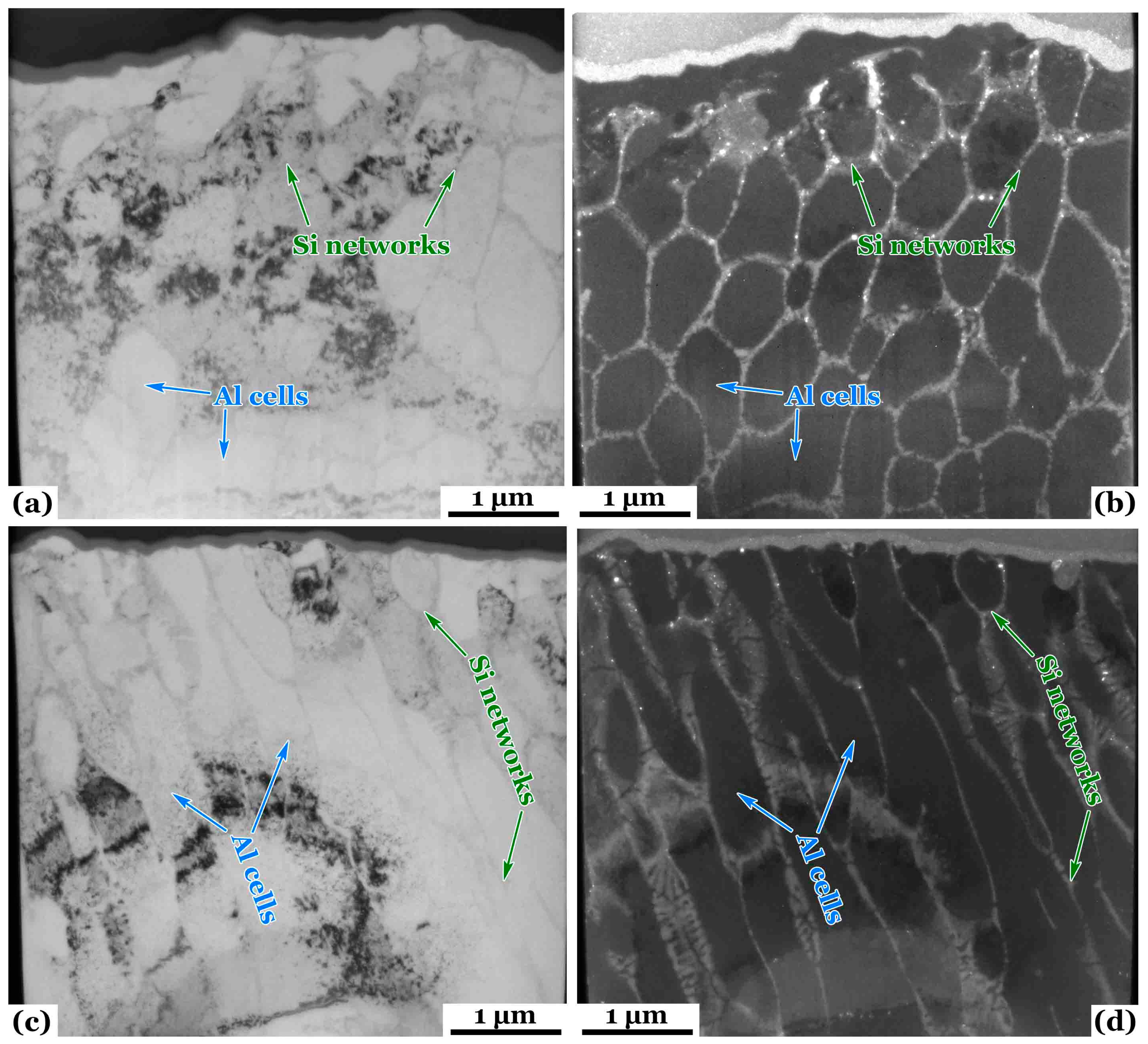 Preprints 92627 g003