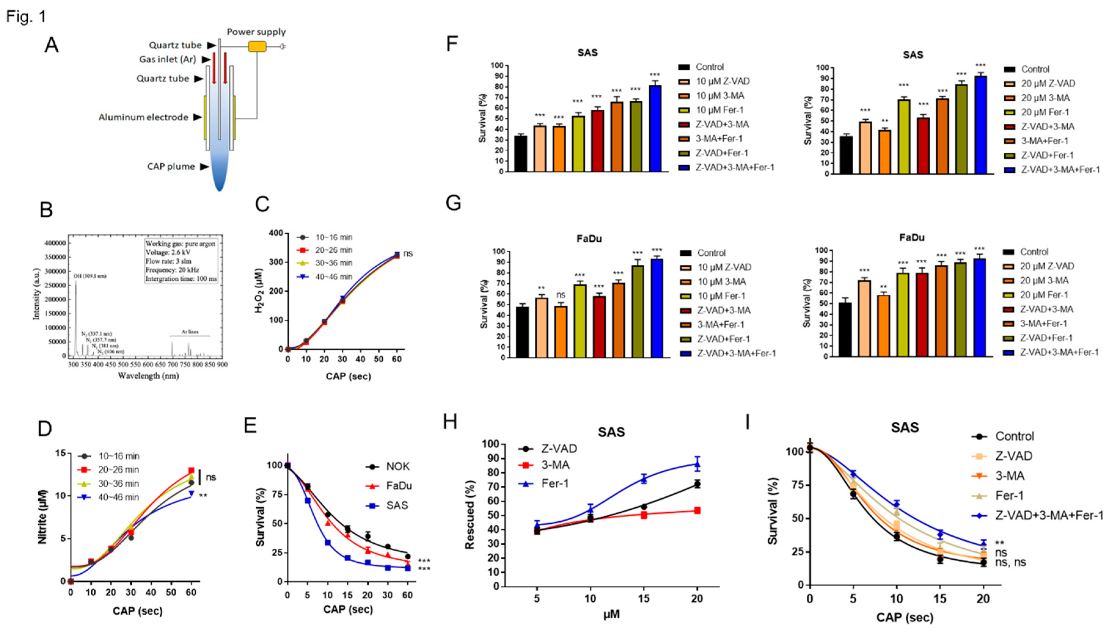 Preprints 87614 g001