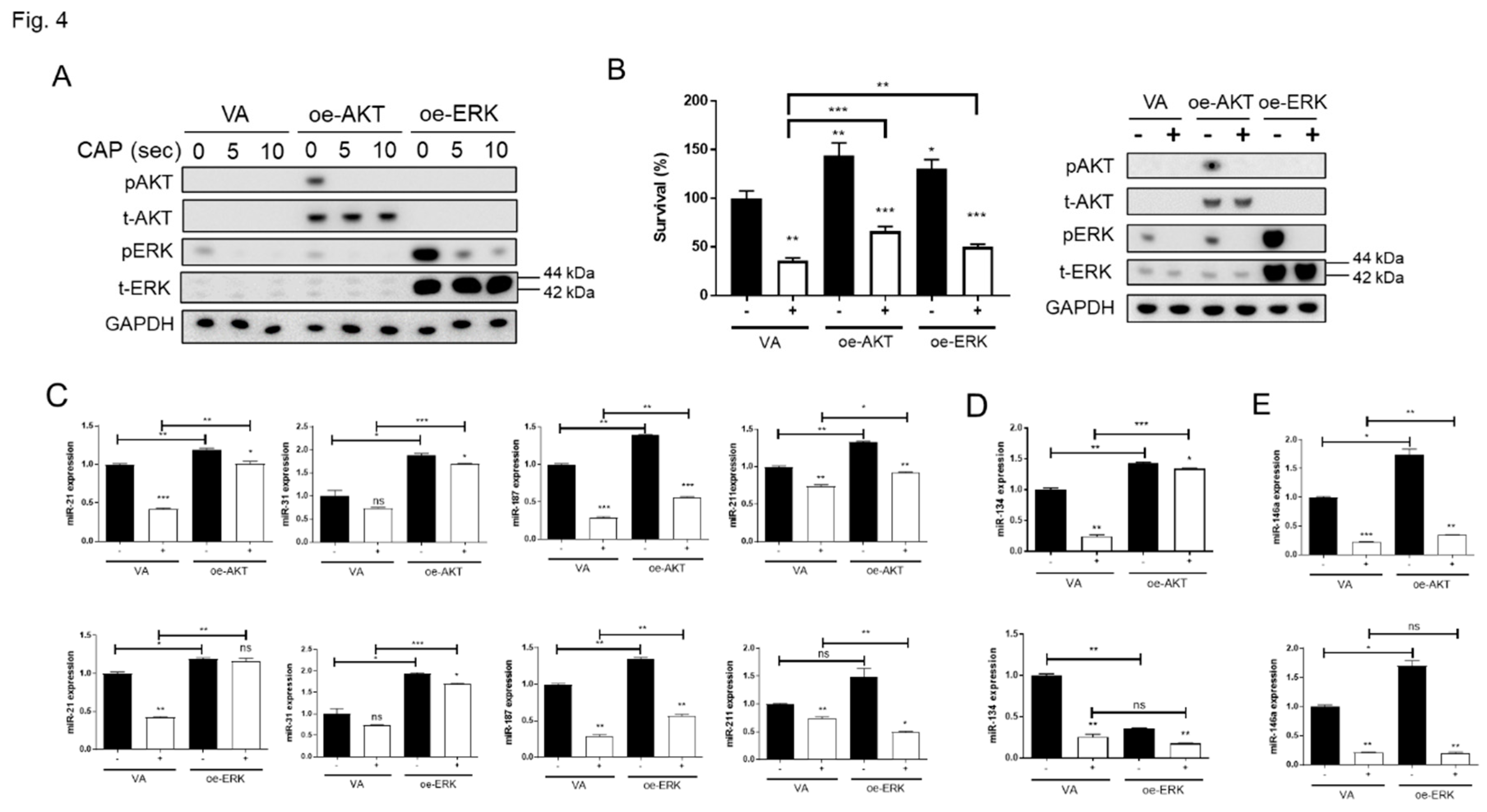 Preprints 87614 g004