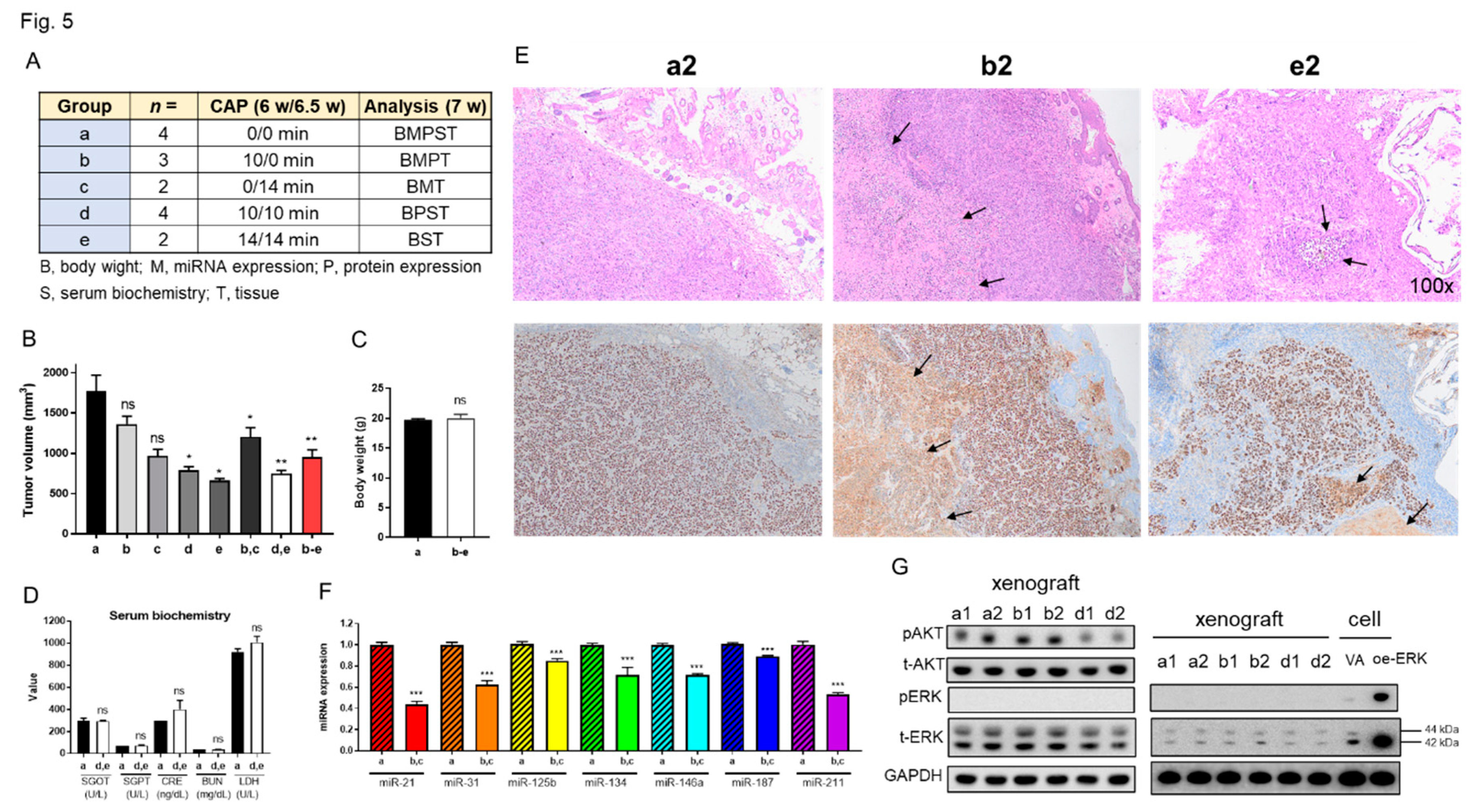 Preprints 87614 g005