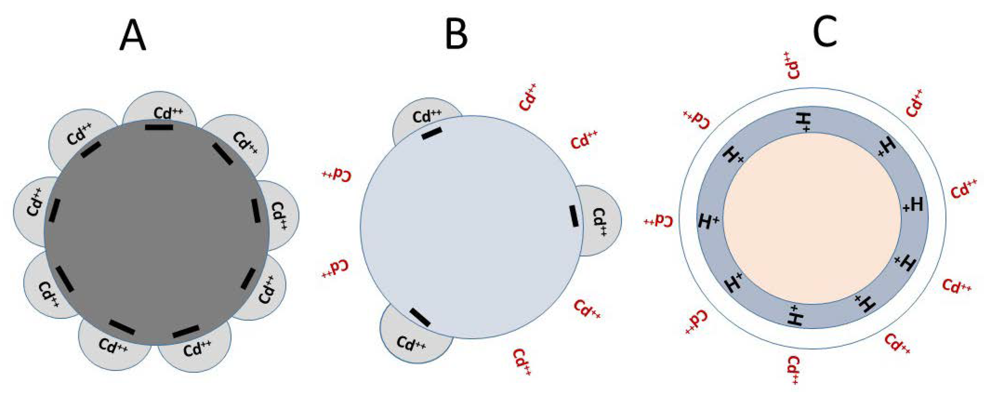 Preprints 72863 g003