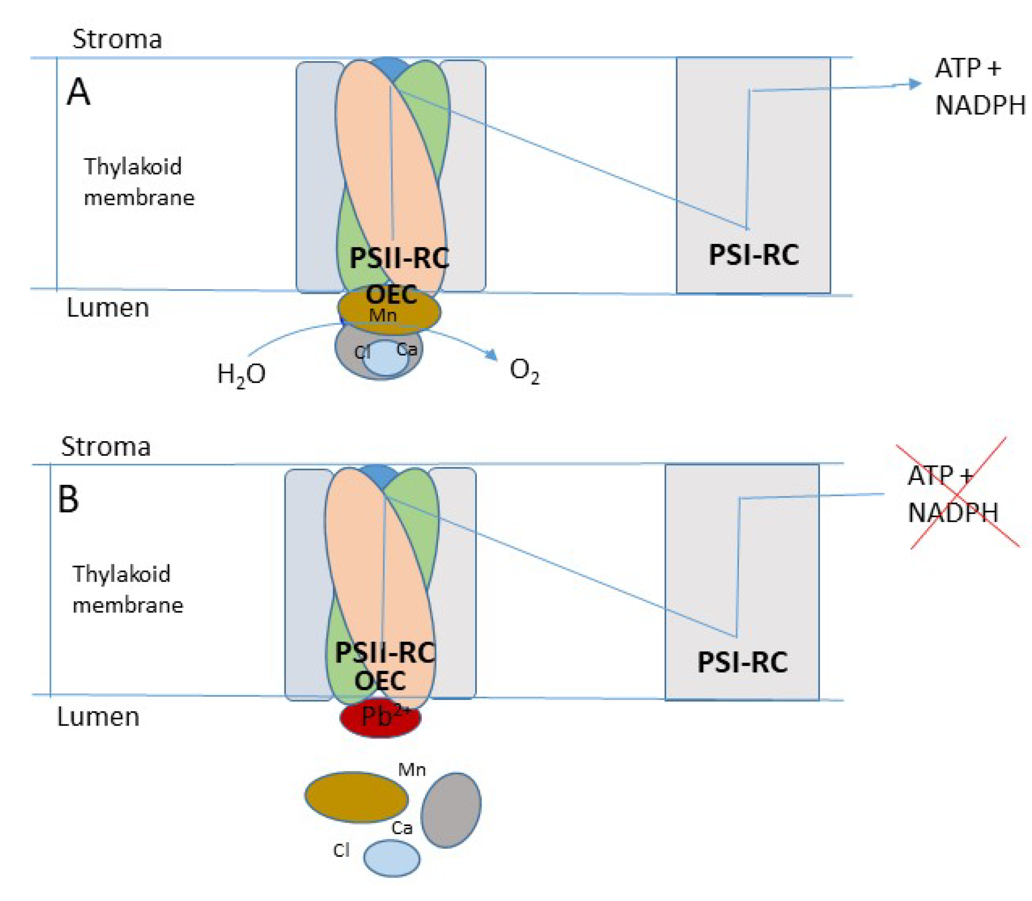 Preprints 72863 g004