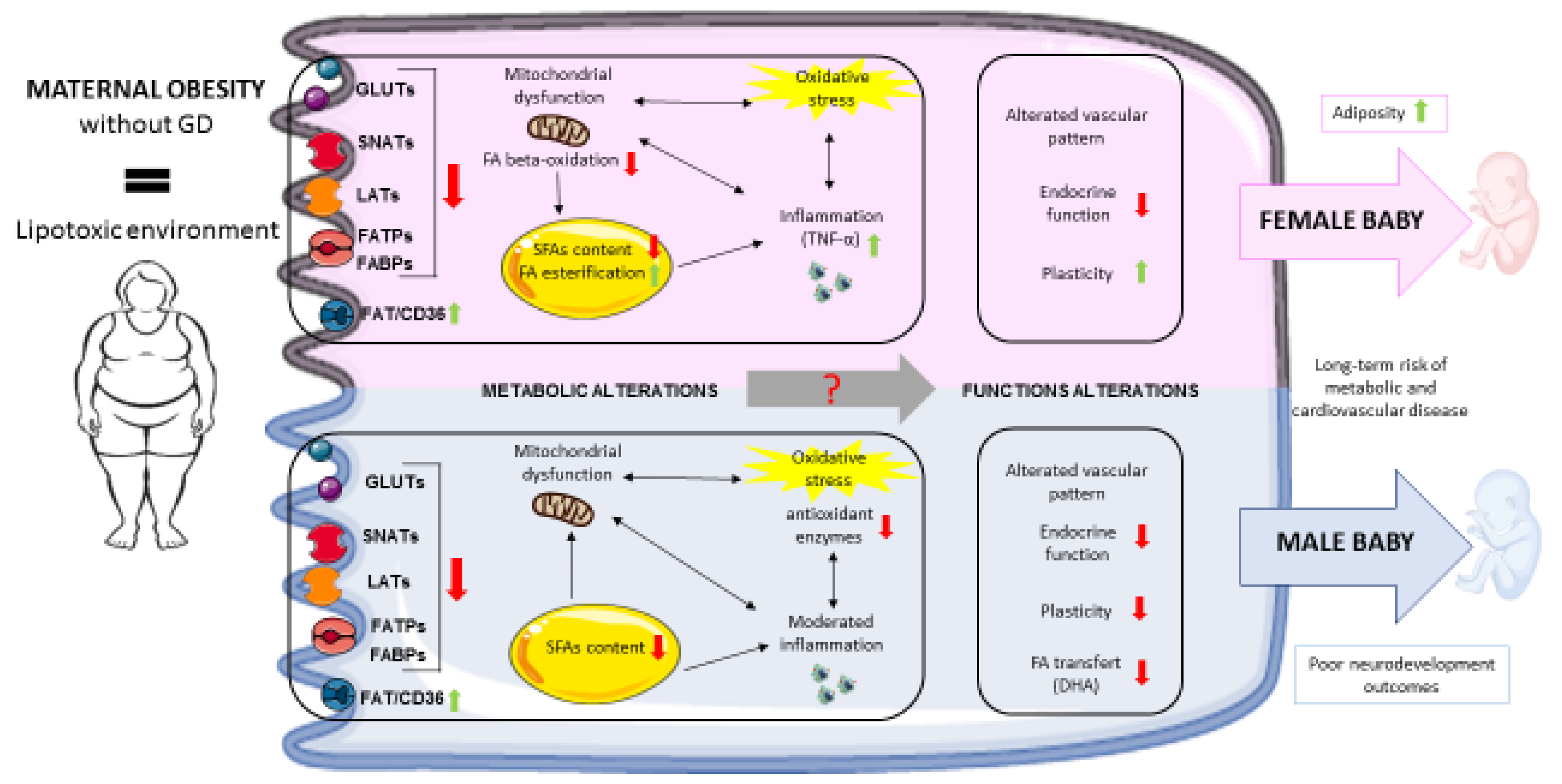 Preprints 72049 g001