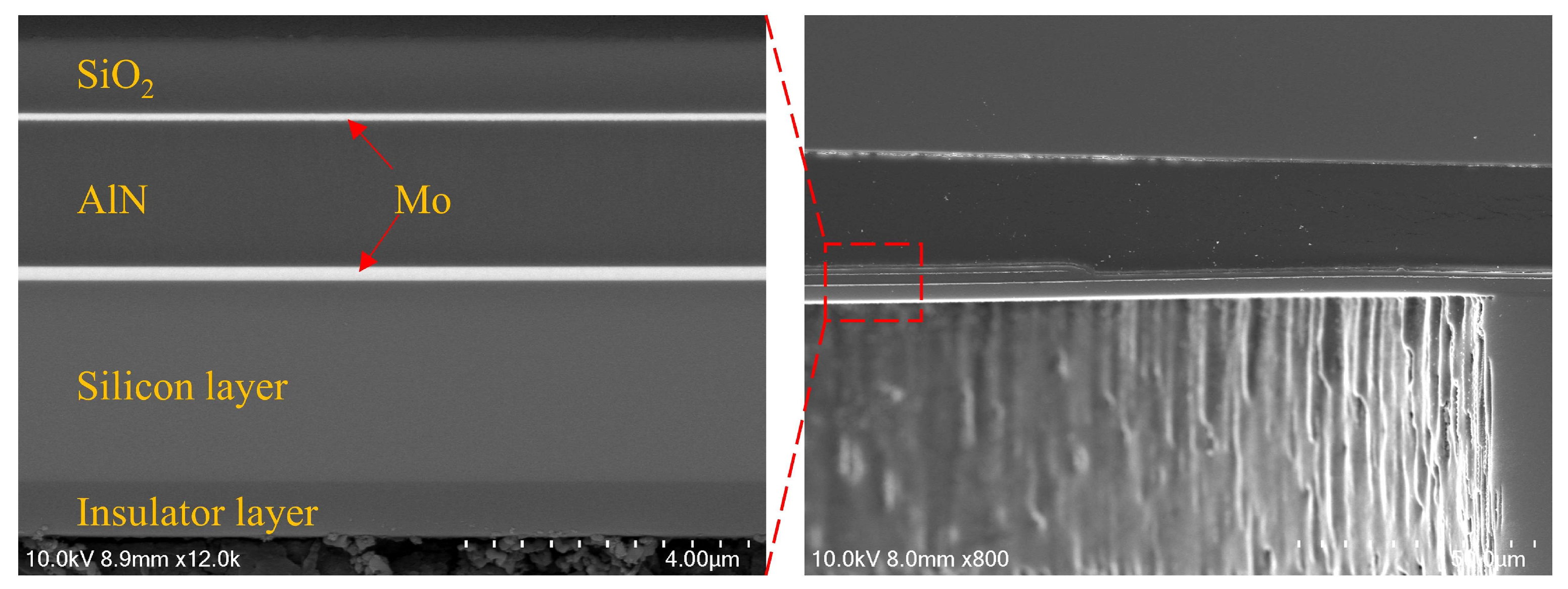 Preprints 106858 g006