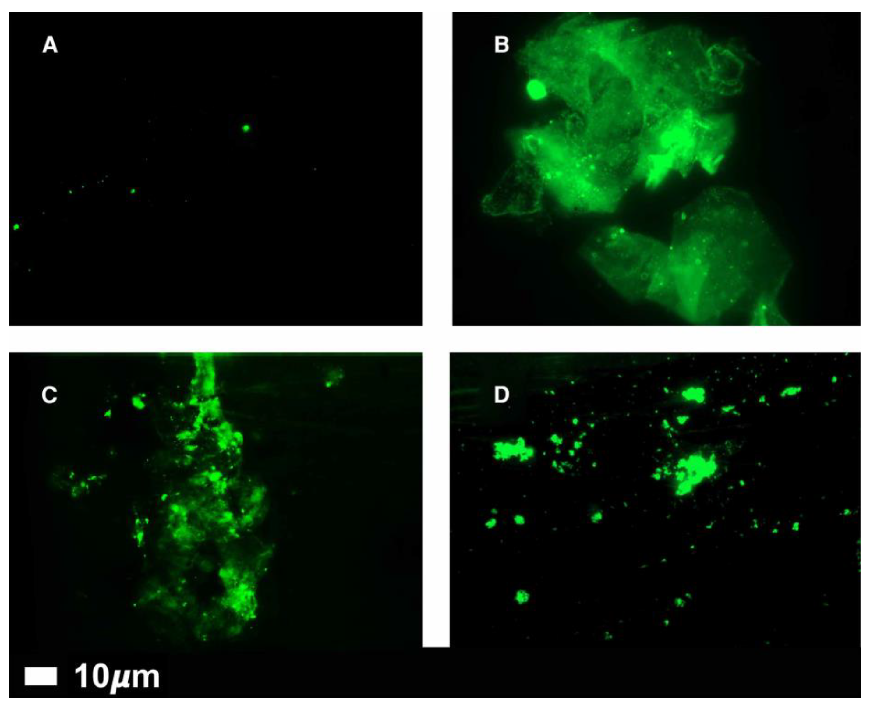 Preprints 103711 g001