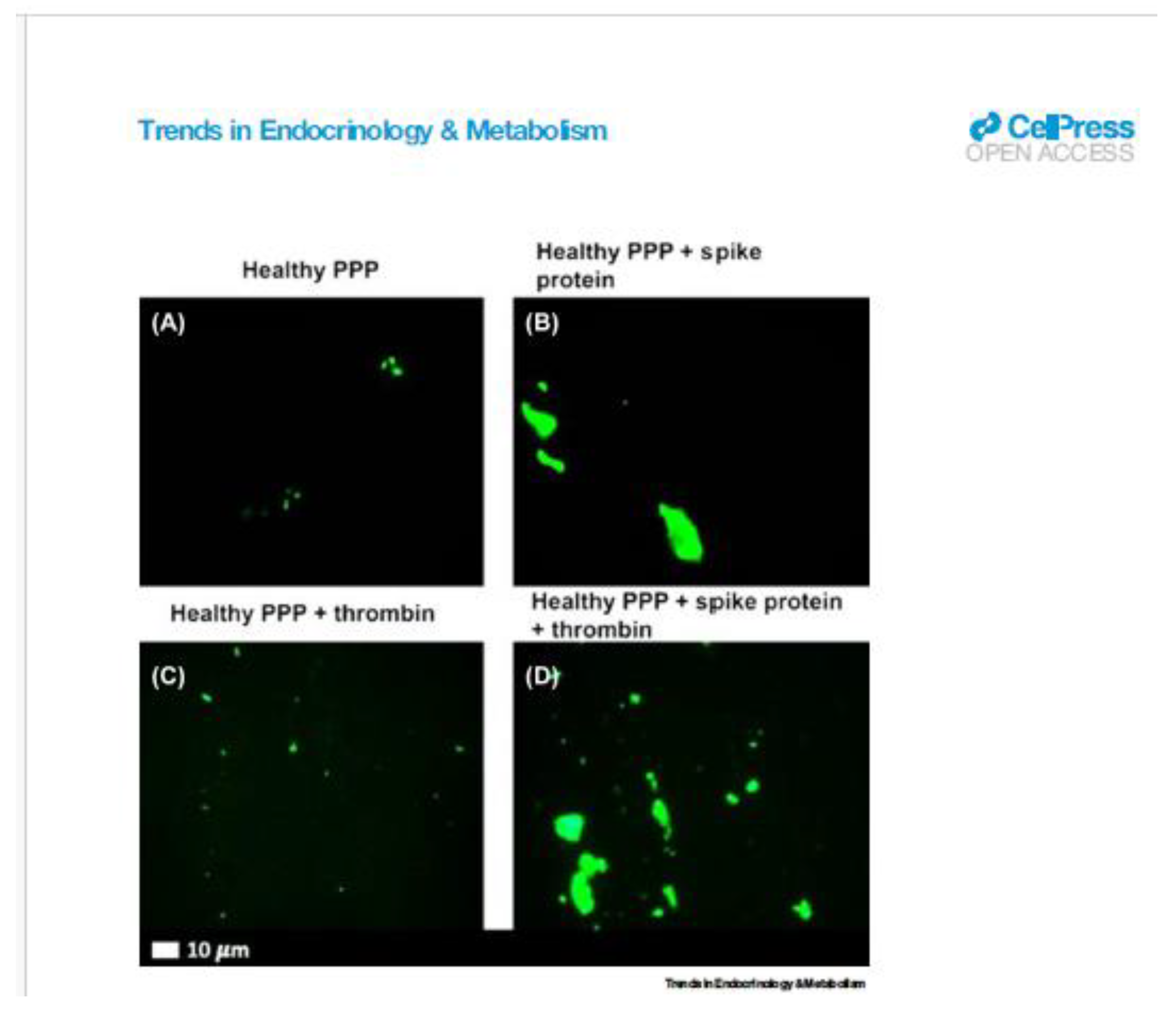 Preprints 103711 g002