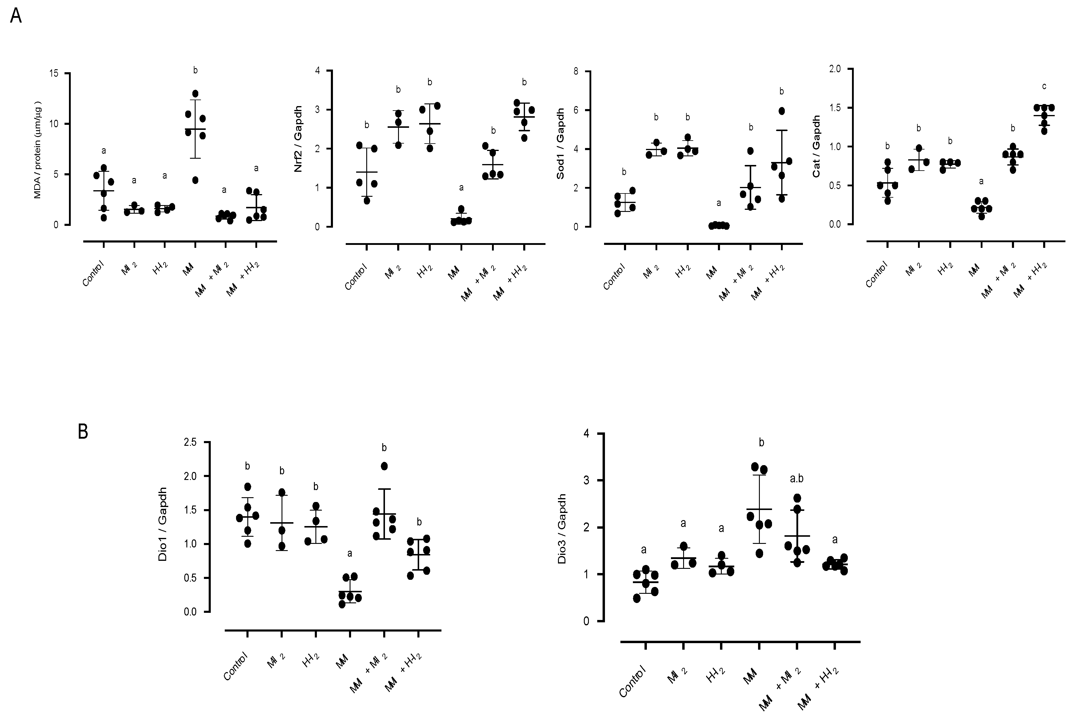 Preprints 81878 g002