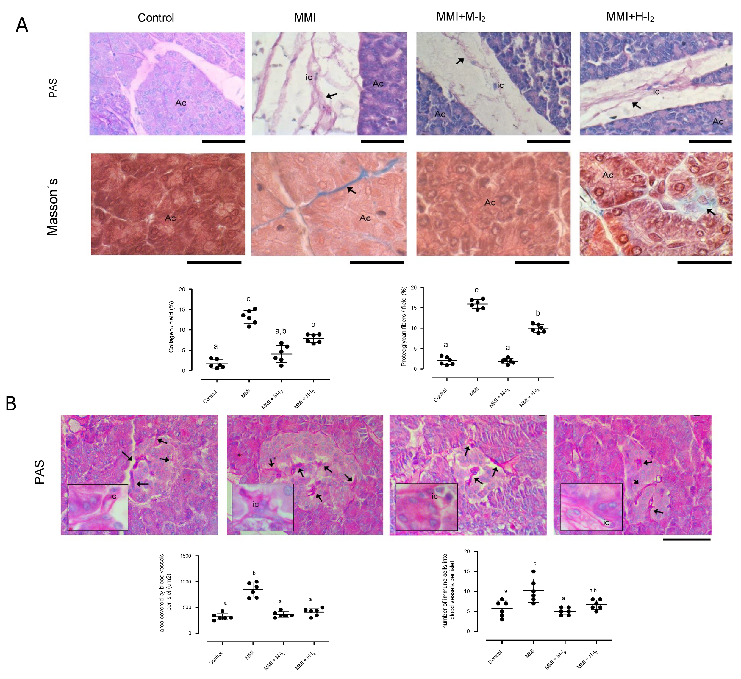 Preprints 81878 g003