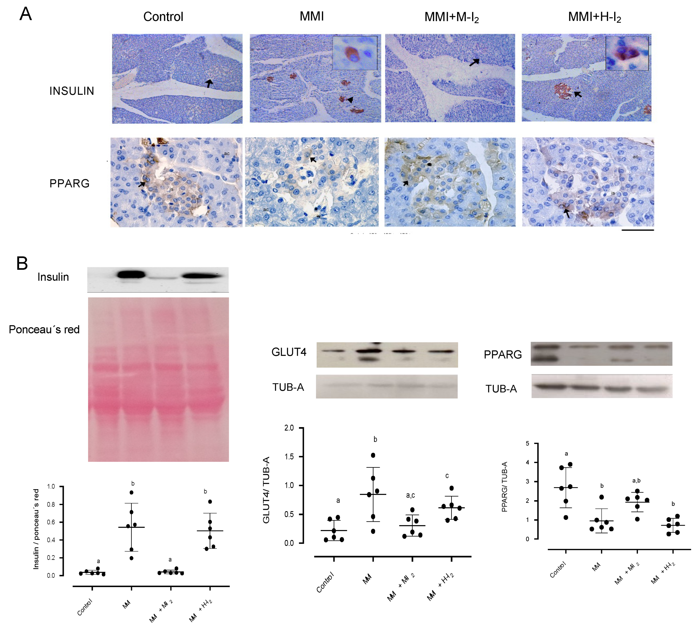 Preprints 81878 g004