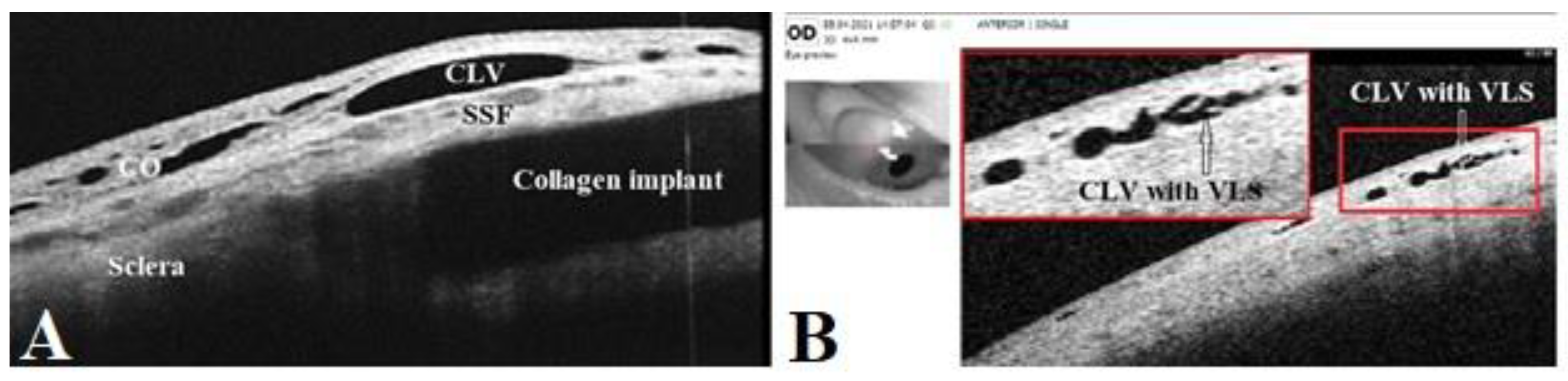 Preprints 81609 g001