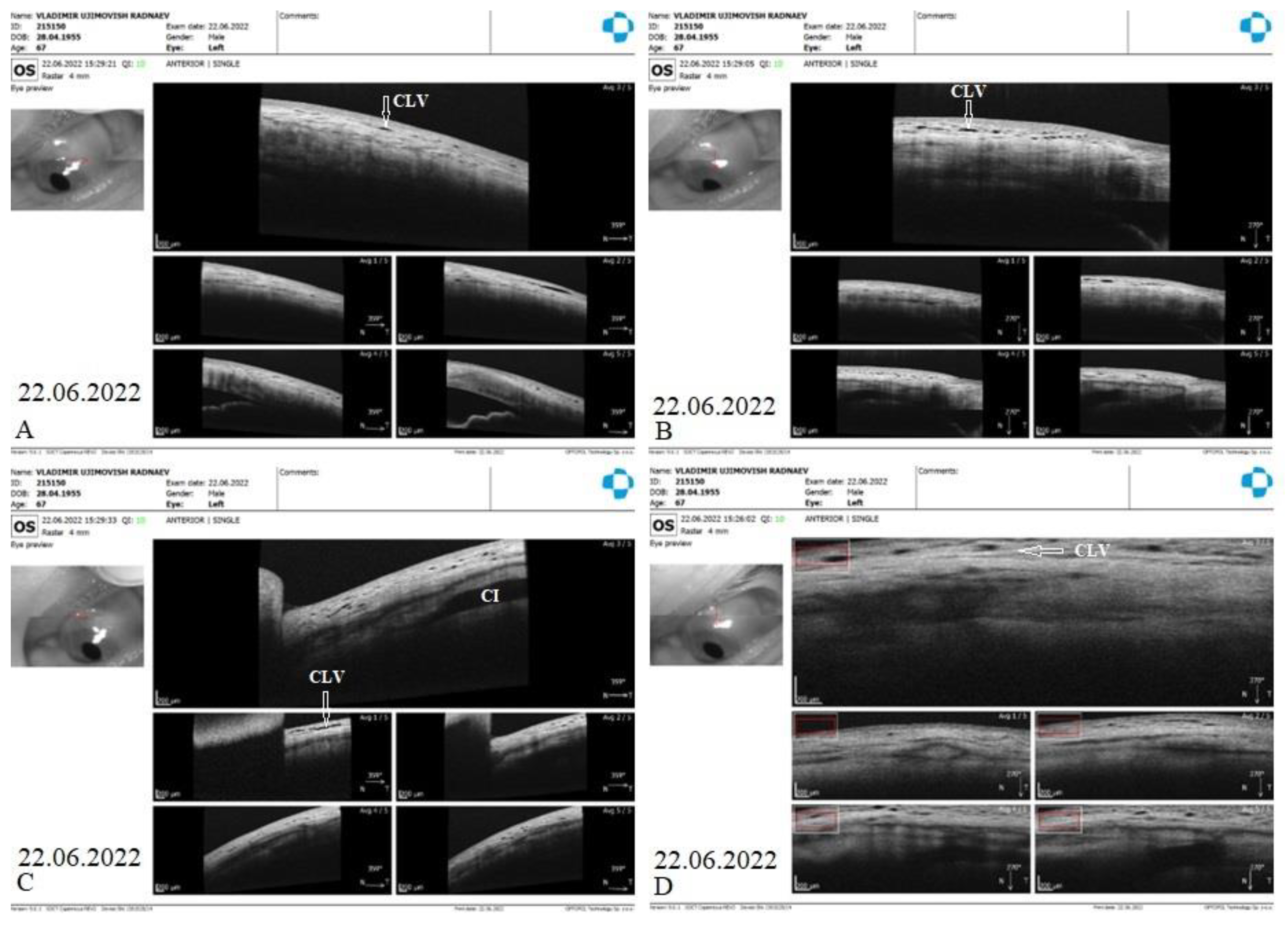 Preprints 81609 g019