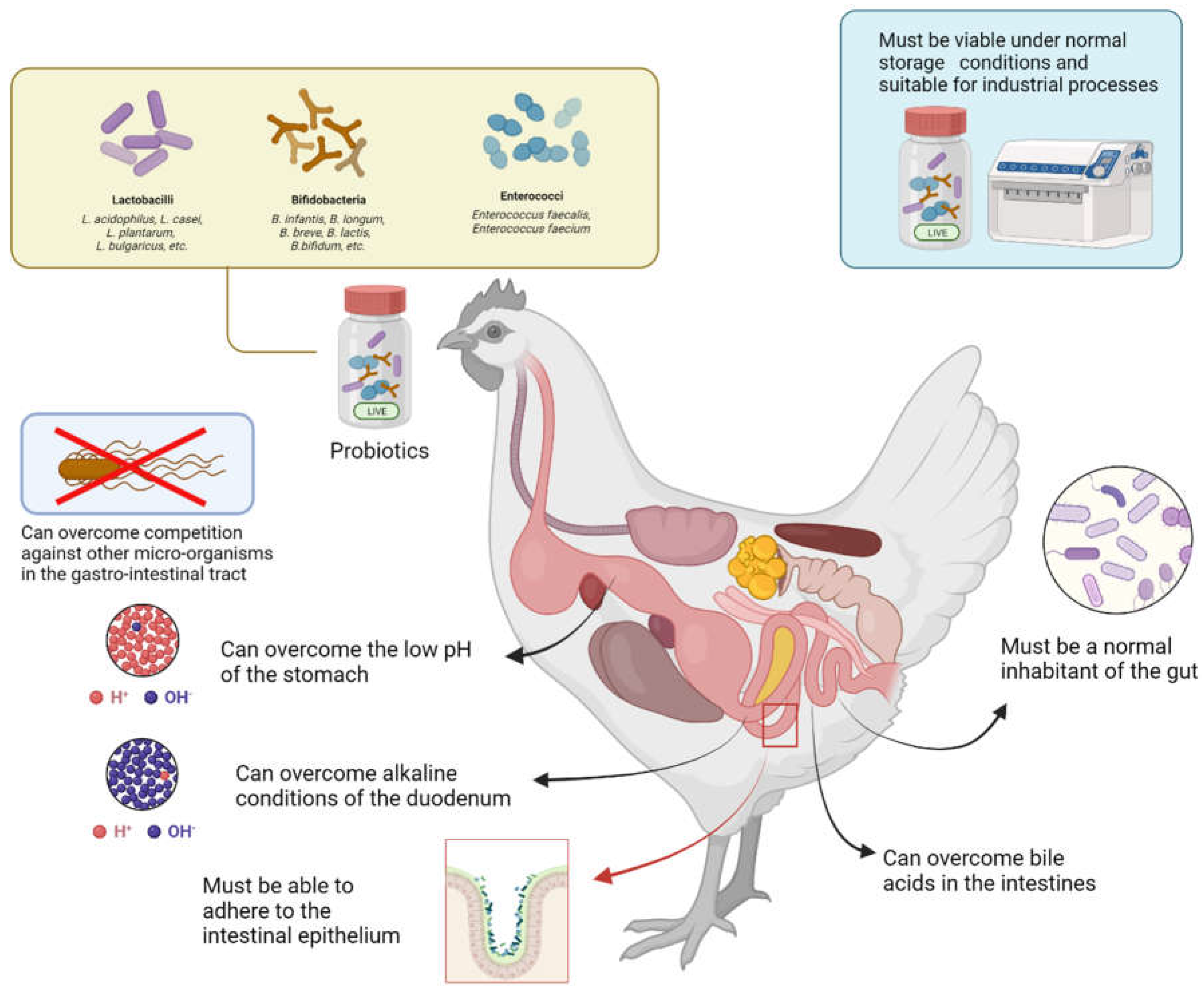 Preprints 87735 g002