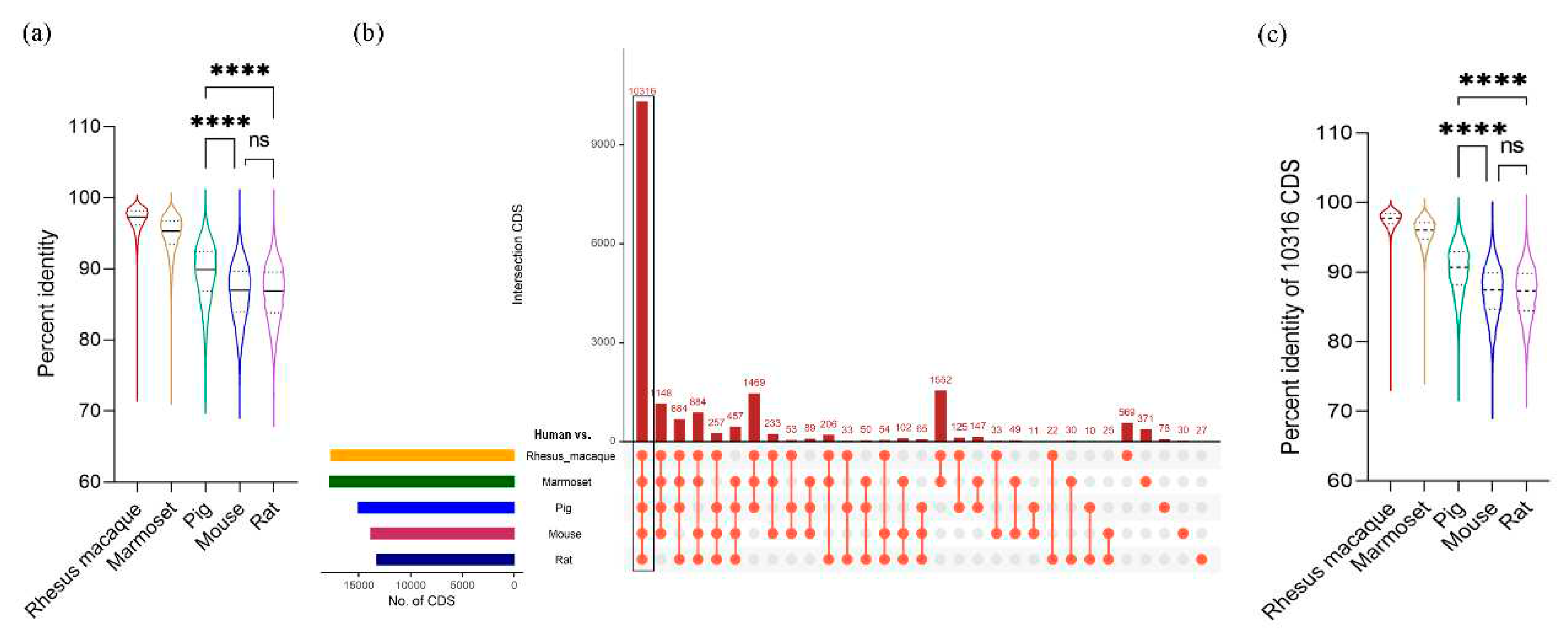 Preprints 74619 g001