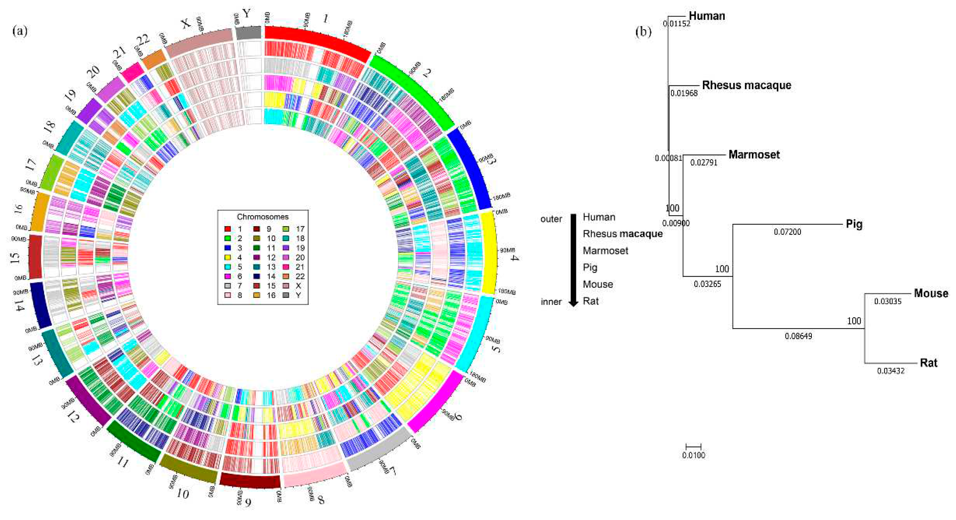 Preprints 74619 g002