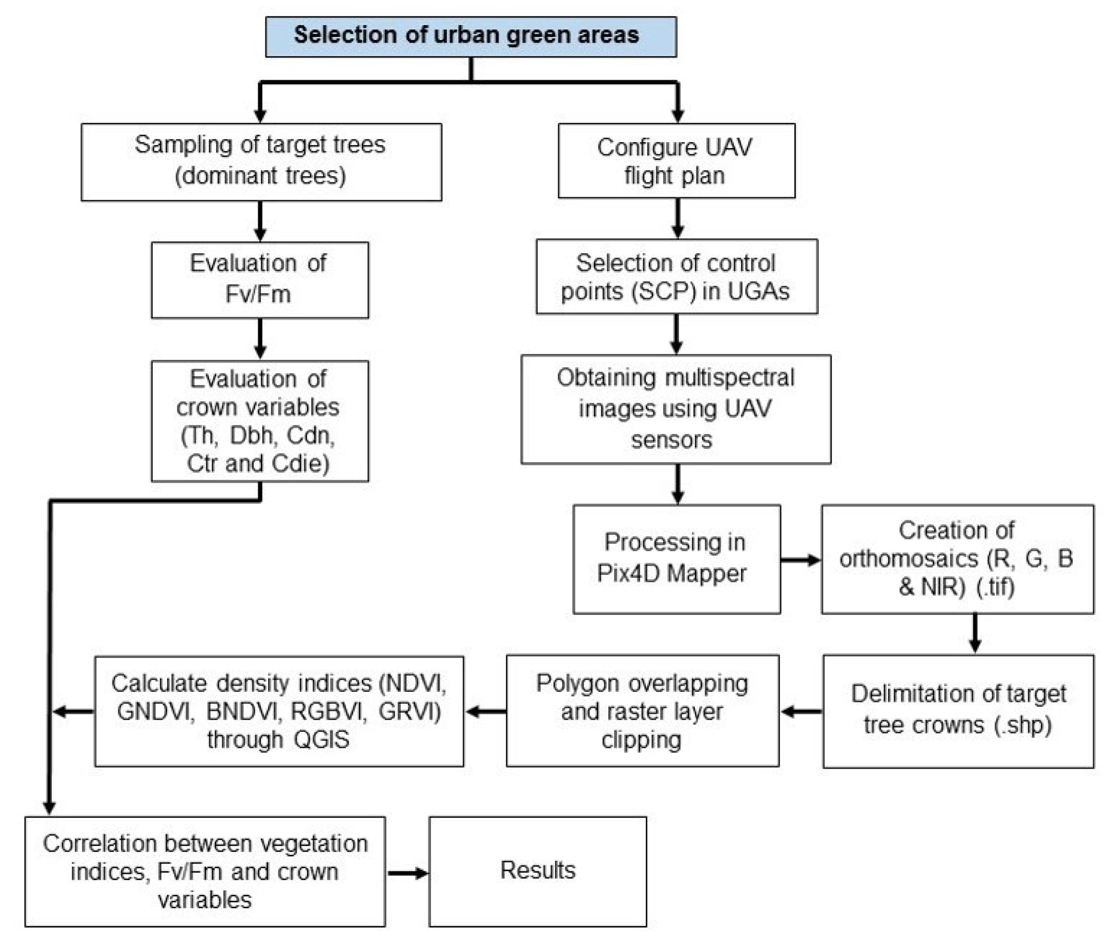 Preprints 76478 g003