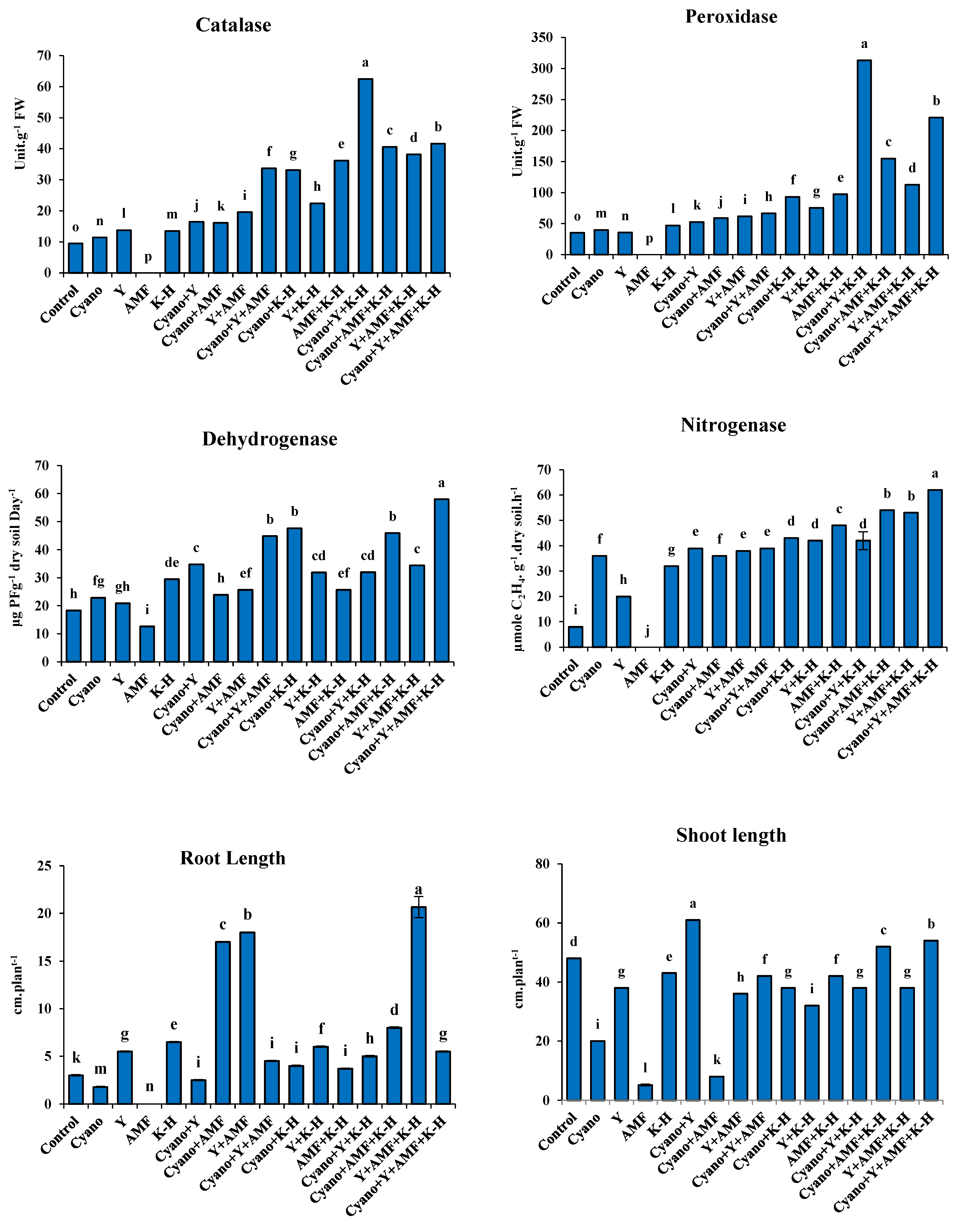 Preprints 107362 g003