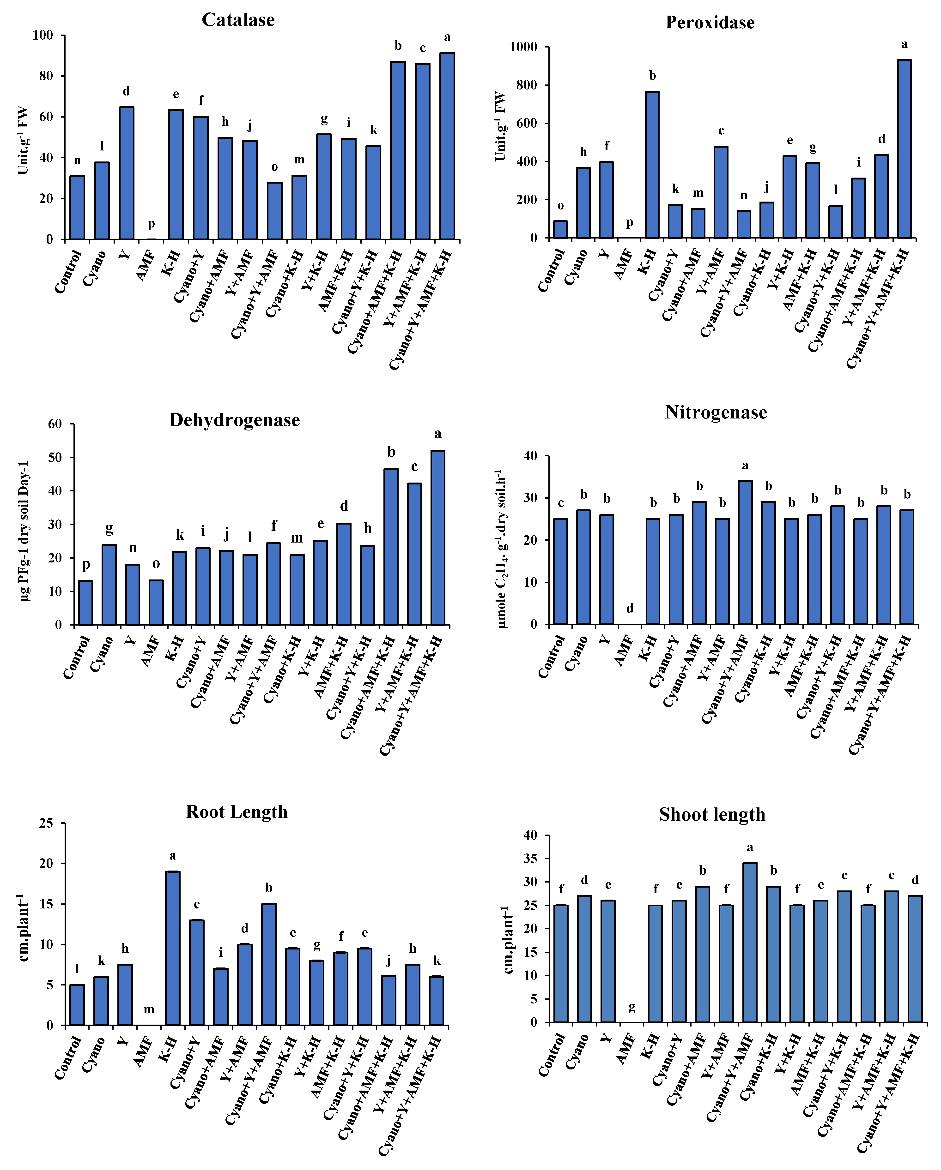 Preprints 107362 g004