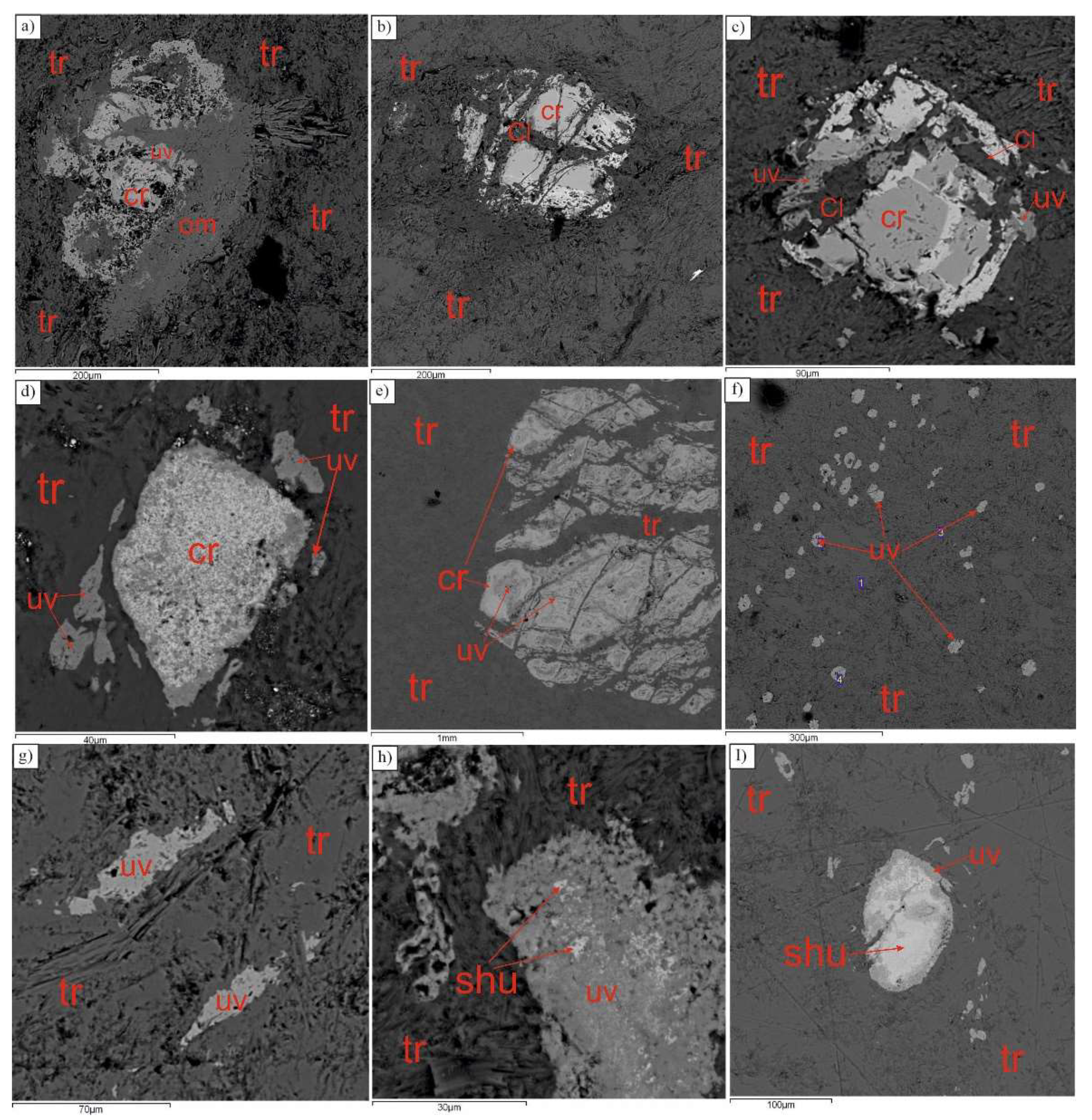 Preprints 71155 g007