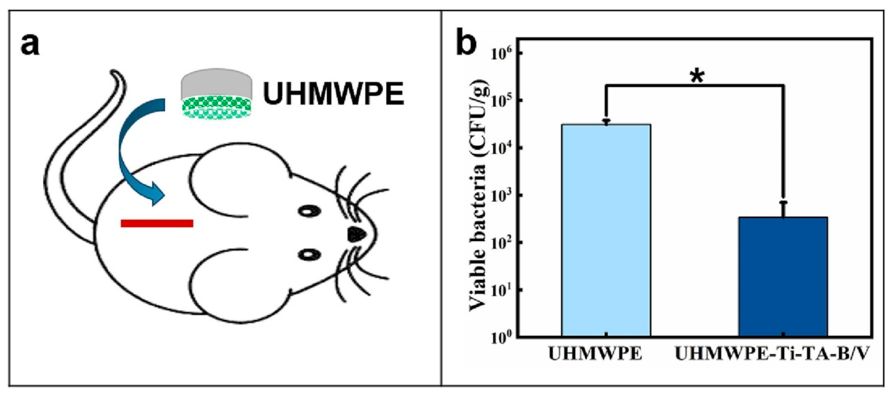 Preprints 141974 g005