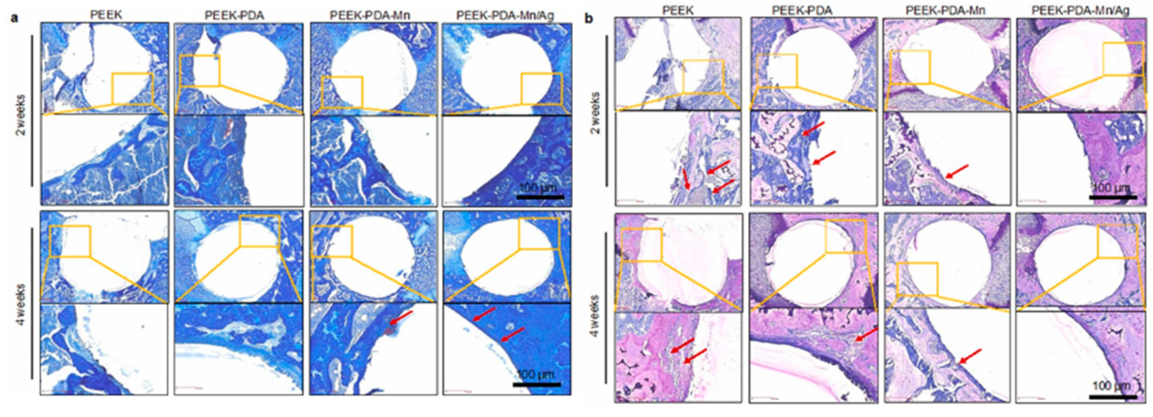 Preprints 141974 g007