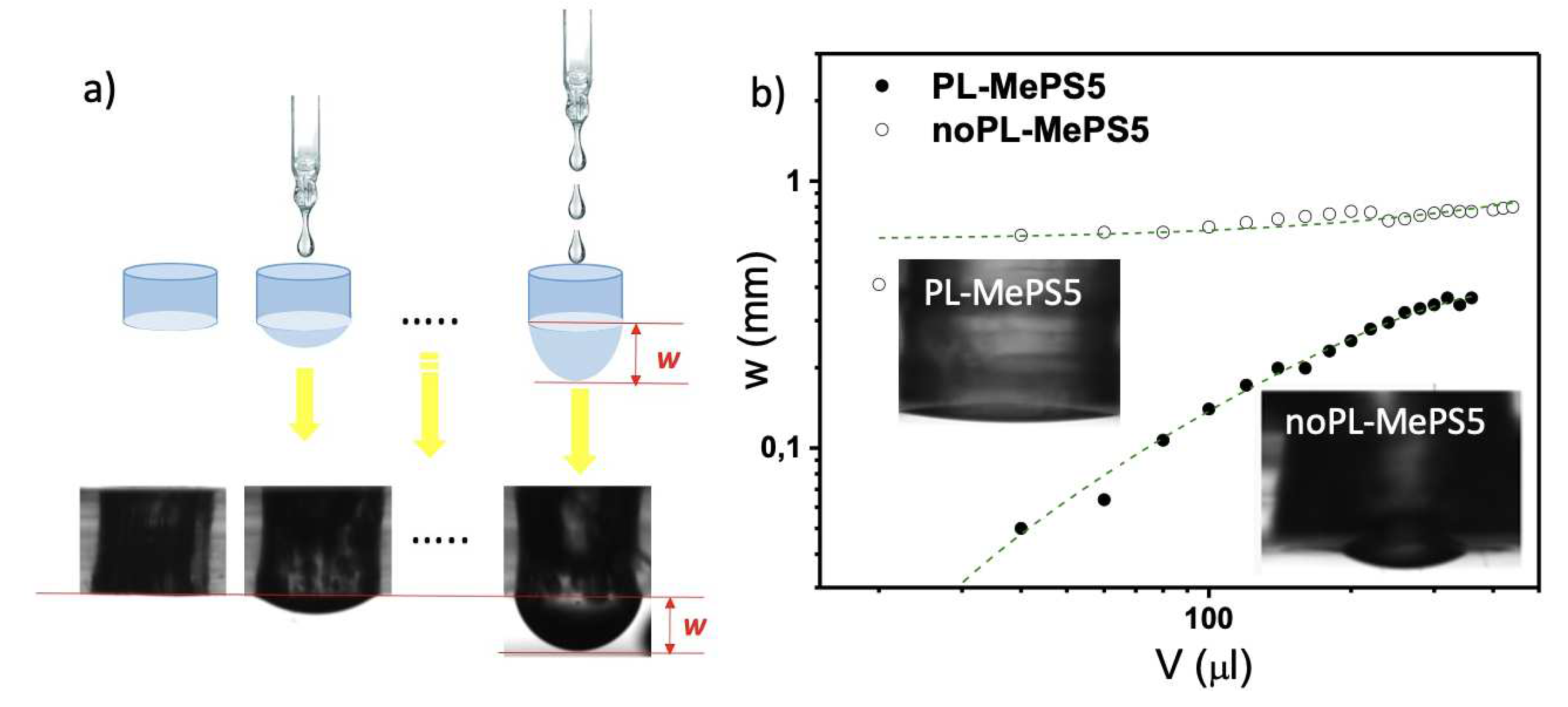 Preprints 98913 g001