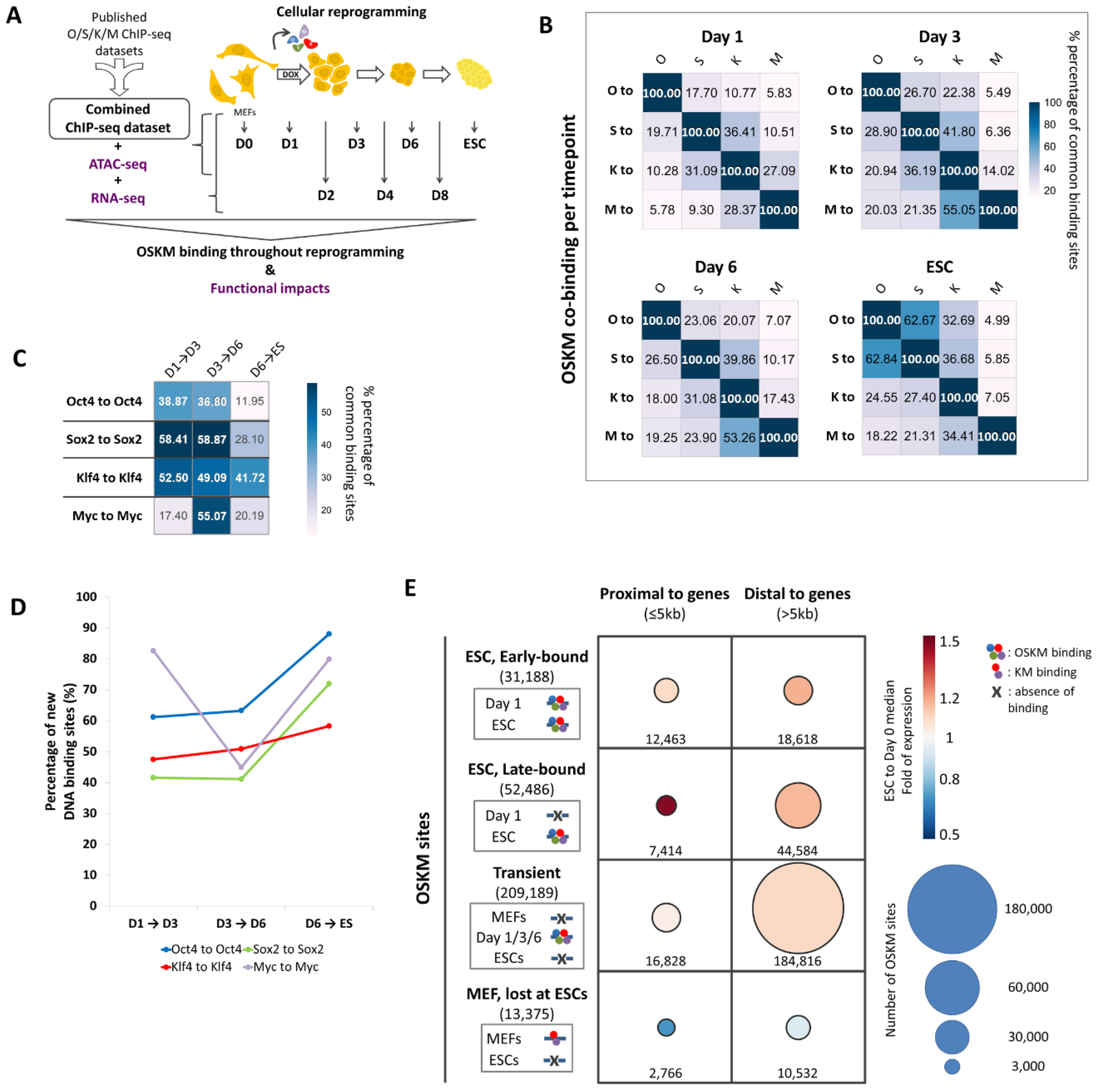 Preprints 137979 g001